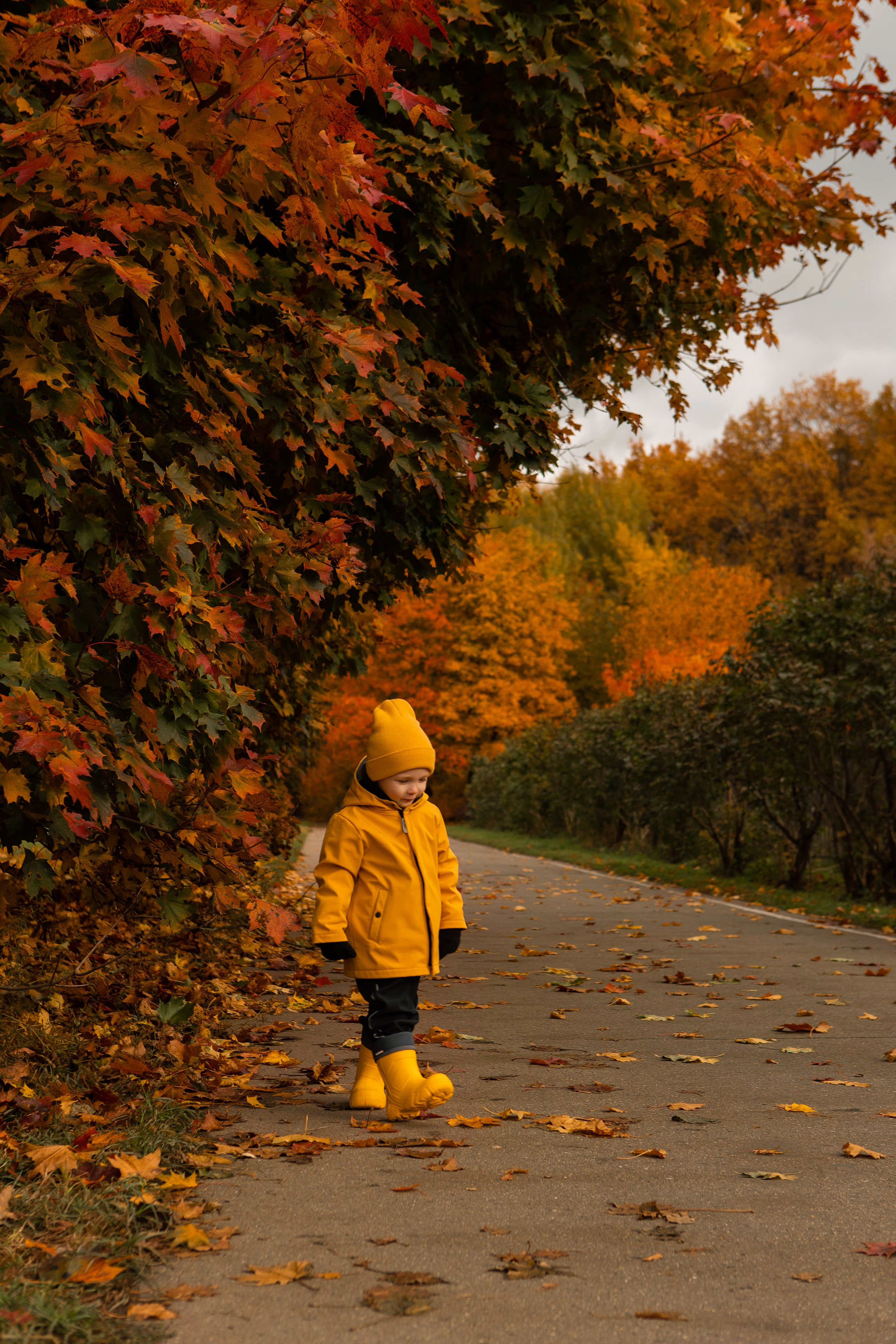 Детские осенние. Фотограф в Москве Таша Логинова