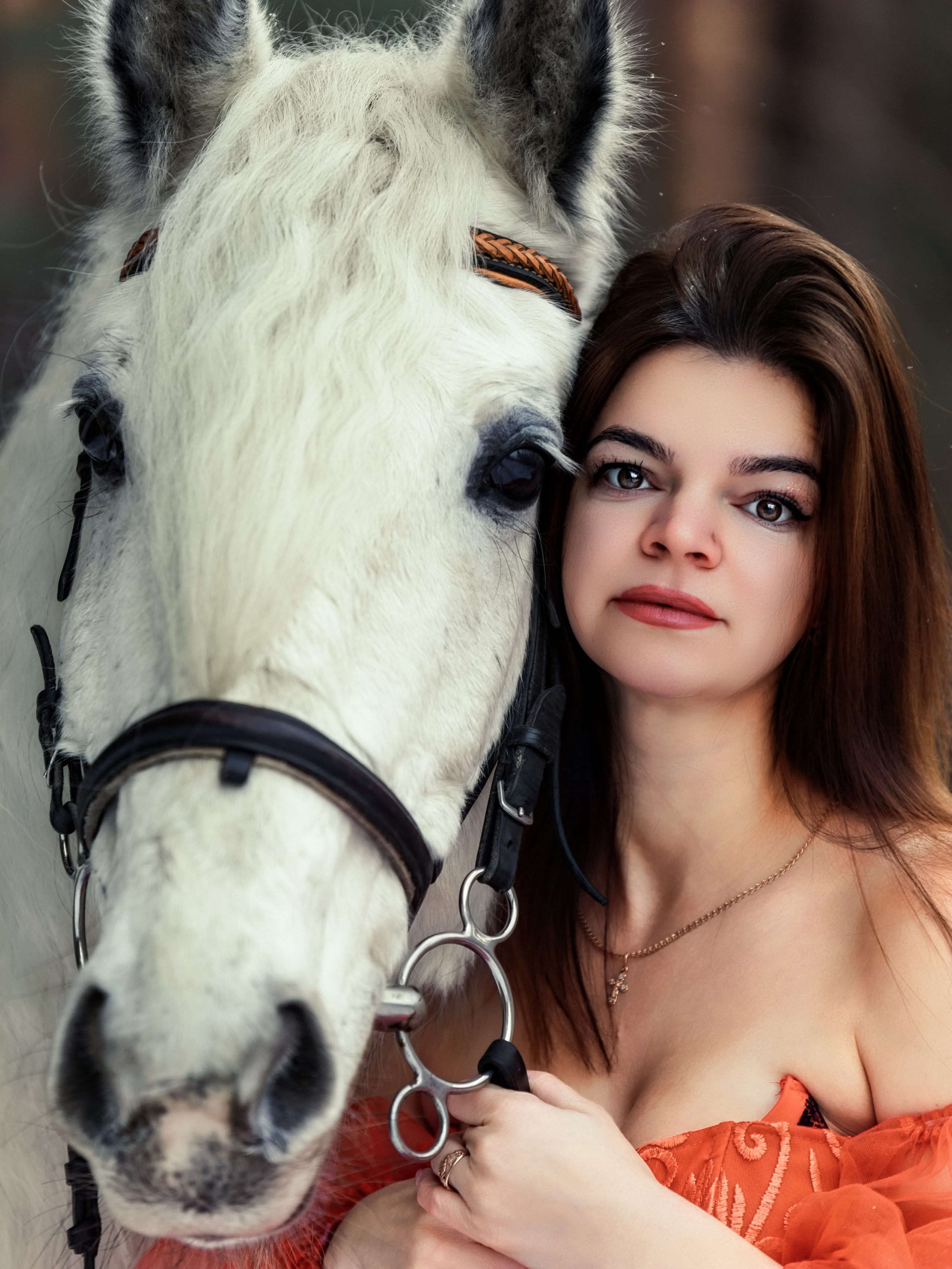 Феникс. Конный фотограф в Красноярске — Любовь Похабова