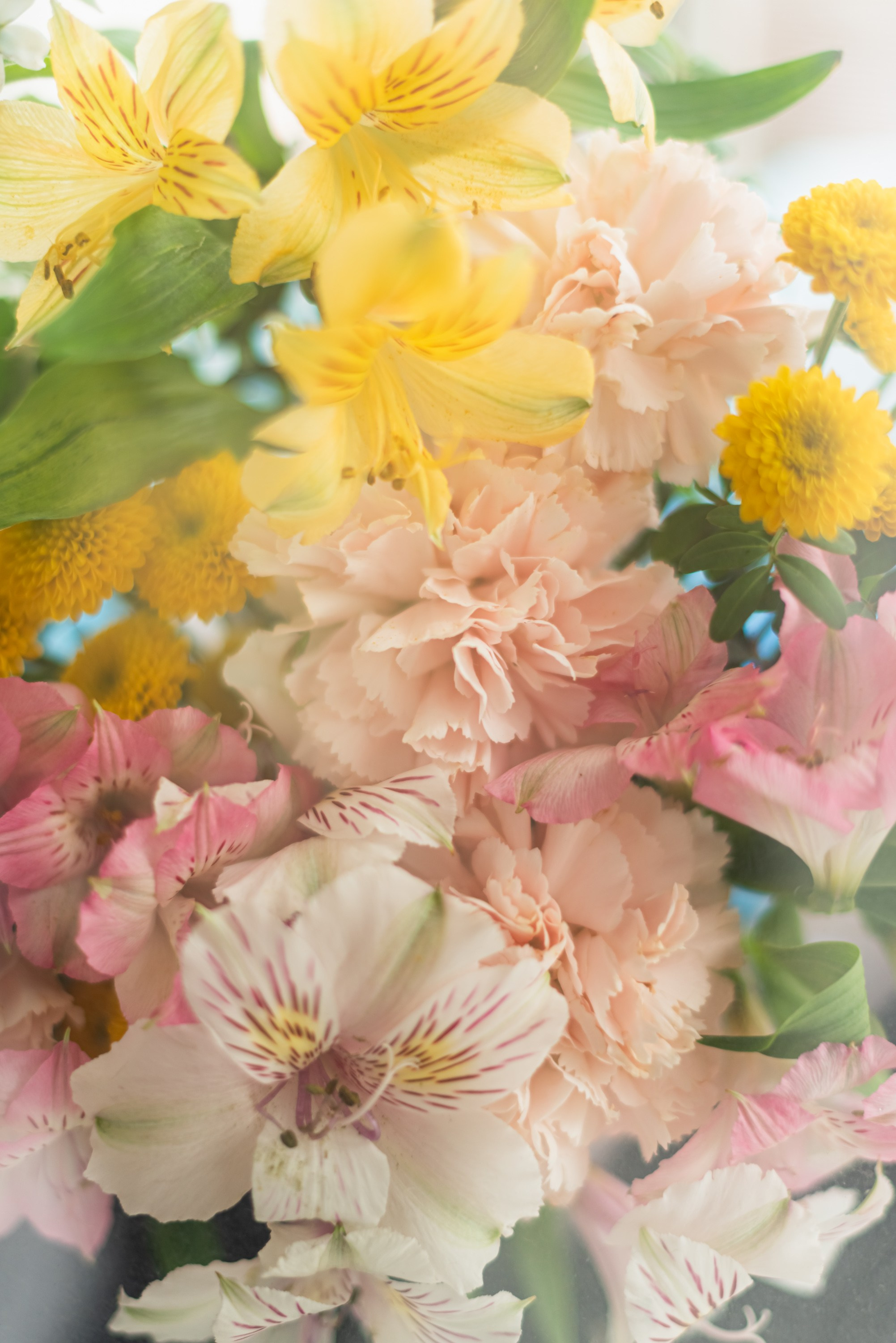 Заставка. Фотограф Тула творческие фотосессии недорого Ольга Ромашина