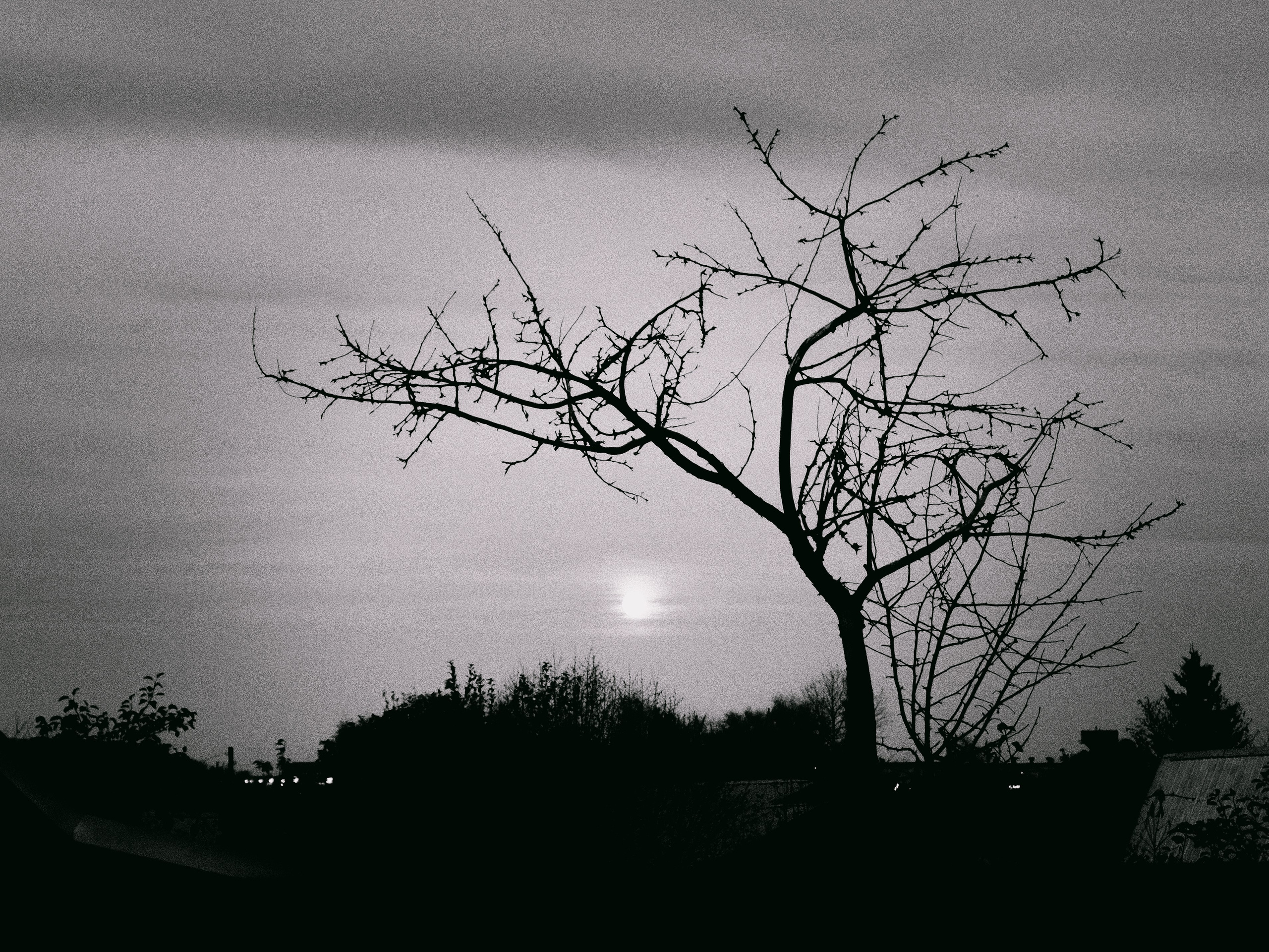 ЧБ. Фотограф-любитель из Кирова Андрей Погребняк