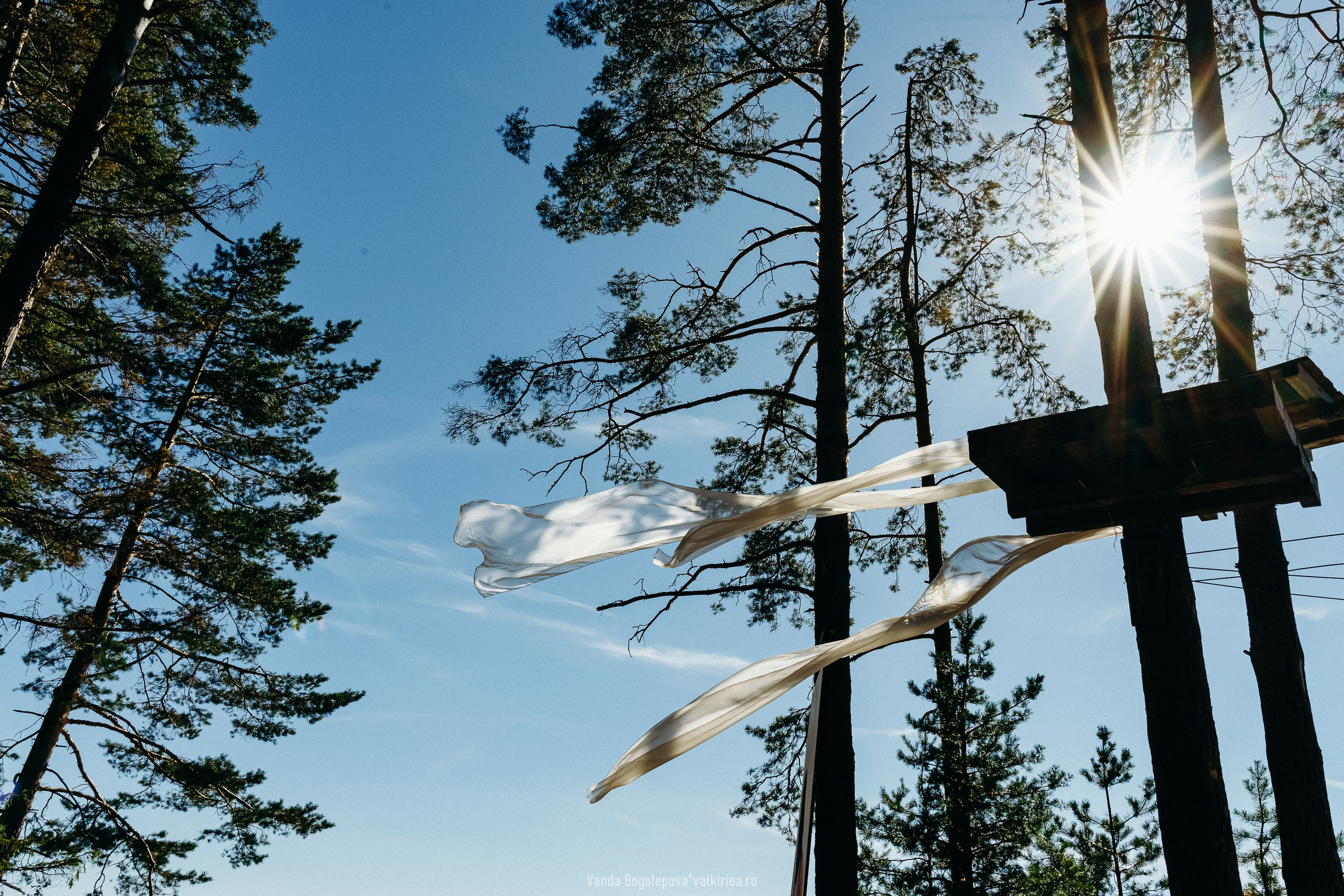 Фестиваль «Дофамин» 2024. Фотосъемка, свадебная фотосъемка, Москва, Нижний Новгород