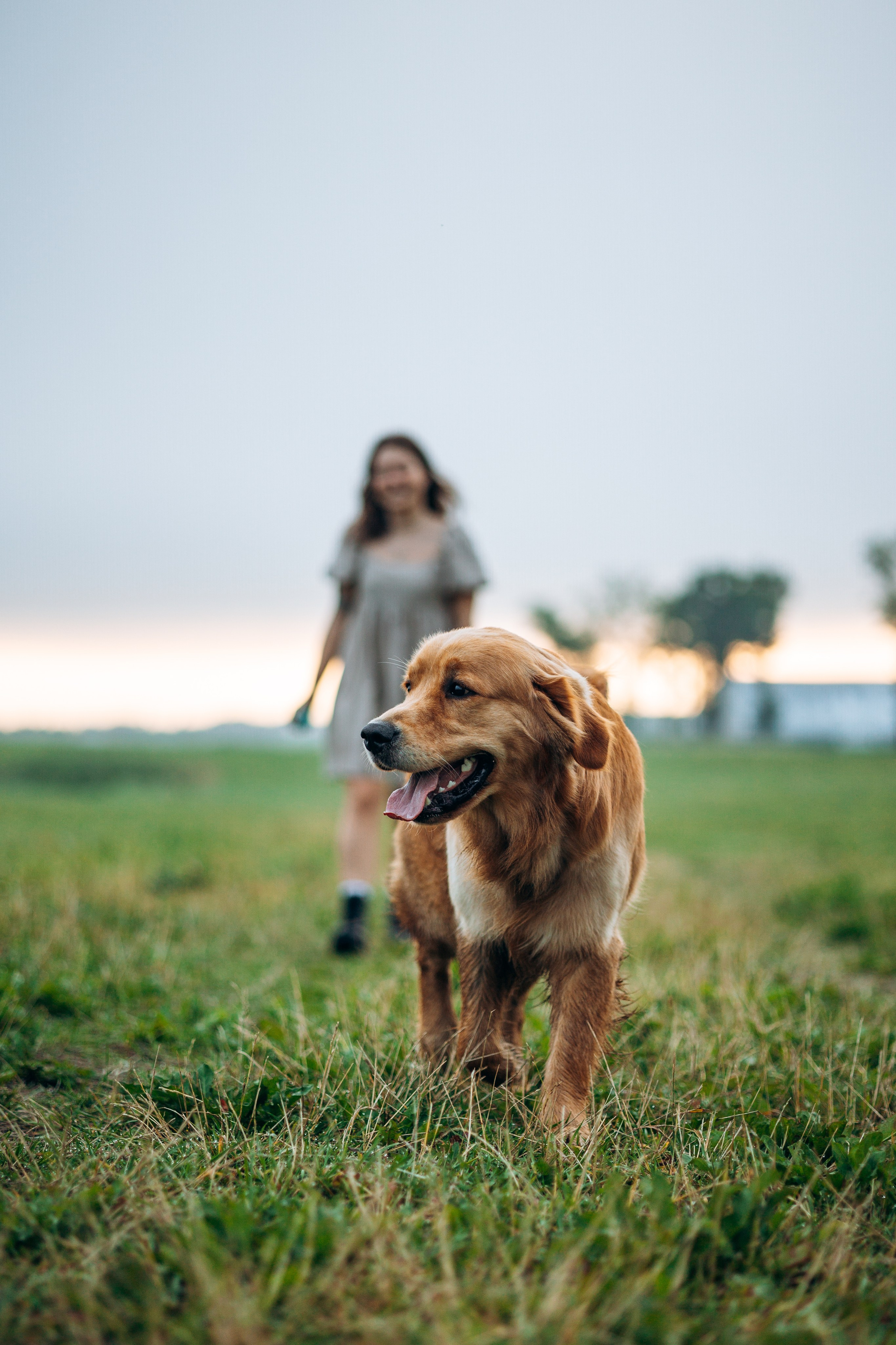Аня и Ноллан. Фотограф — Анималист | Санкт-Петербург