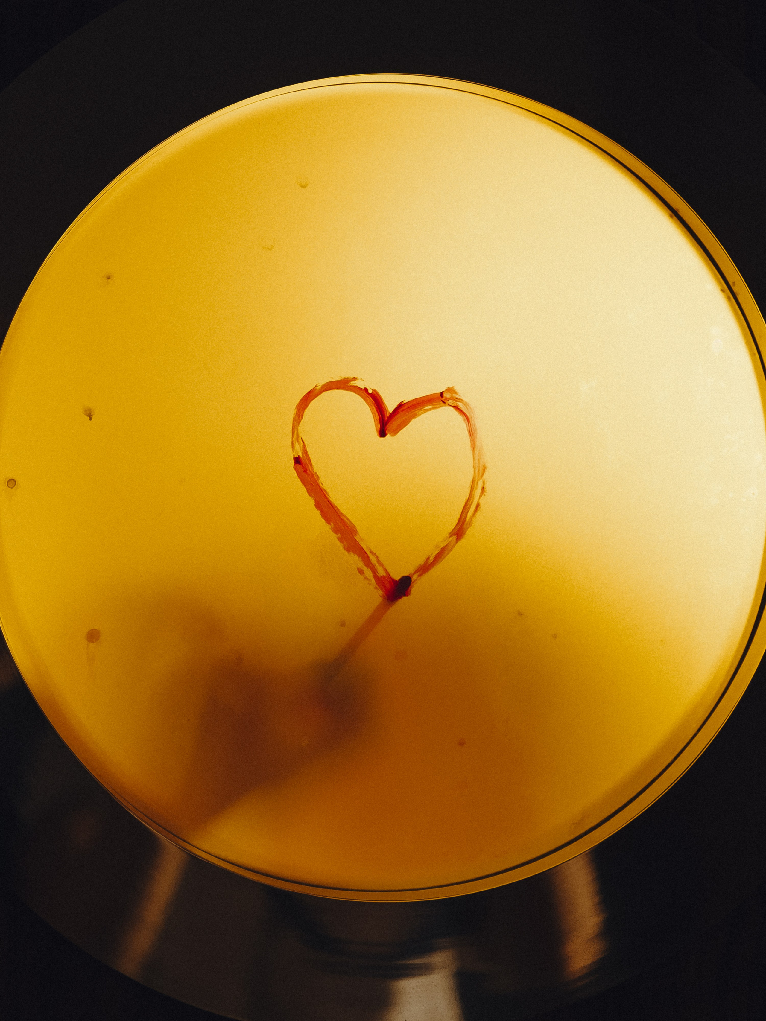 Wedding day Семен & Анастасия. Свадебный фотограф Колесников Антон