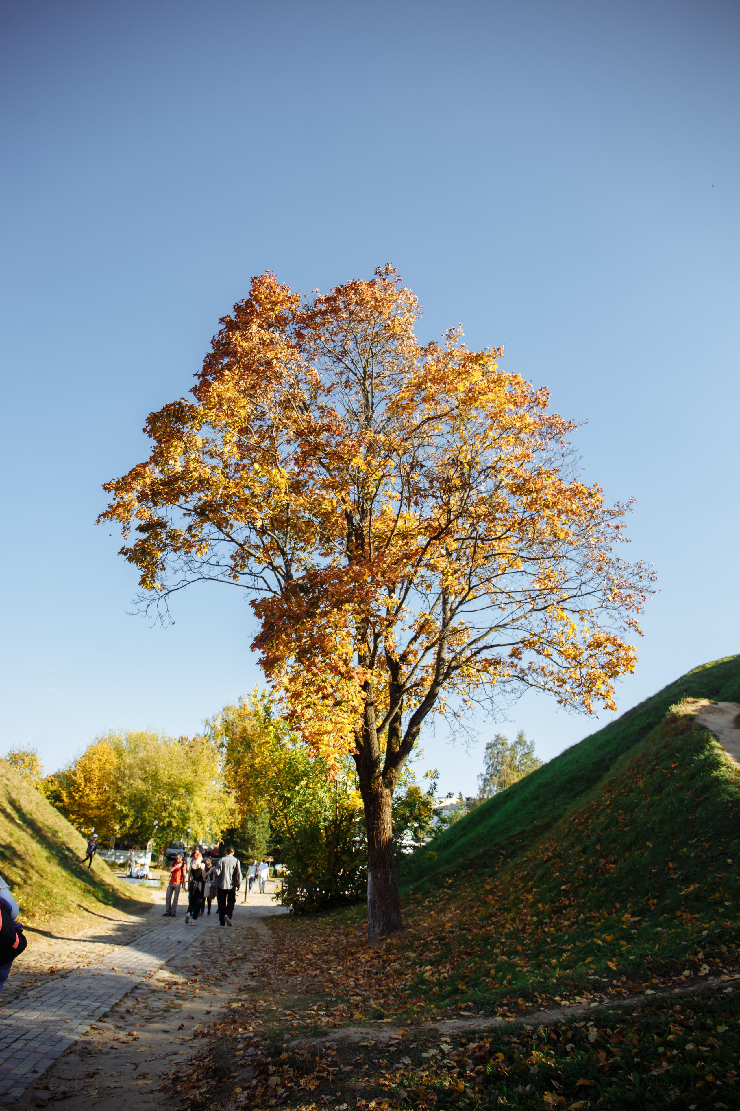 Лиза и Олег, Свадьба в X-Land в Дмитрове. Фотограф Дмитров и МО Валентина Халикова