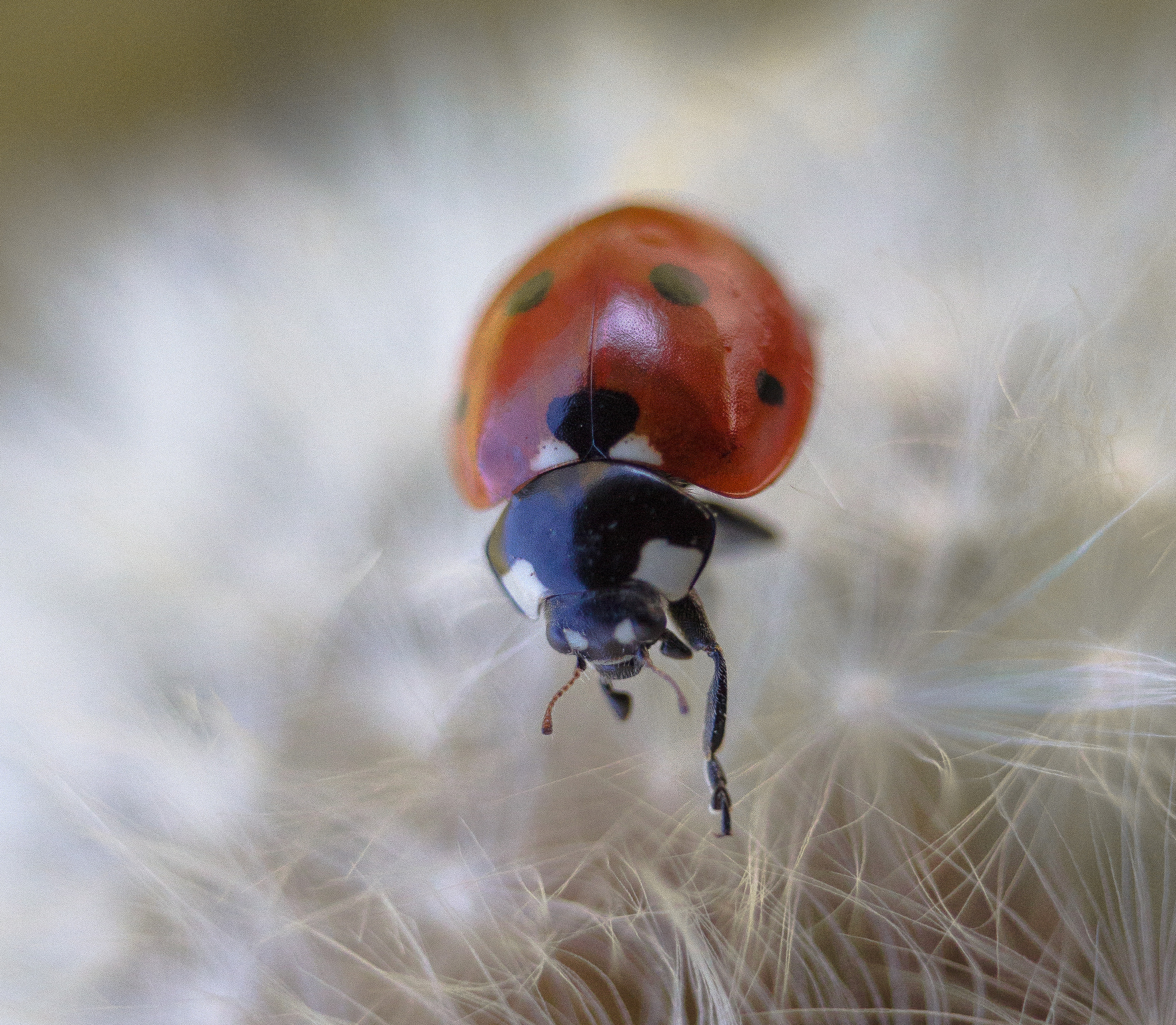 Макро. Обо всём