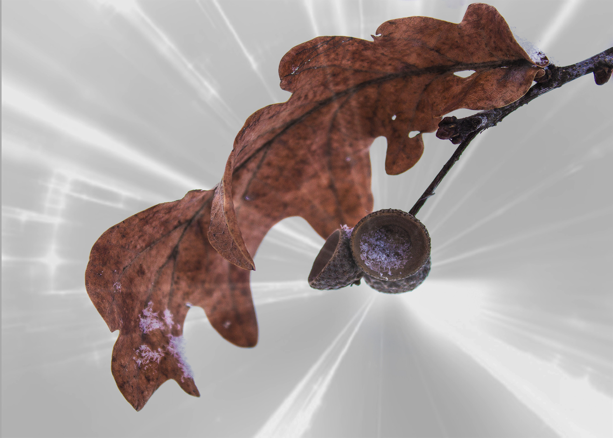 Природное. Обо всём