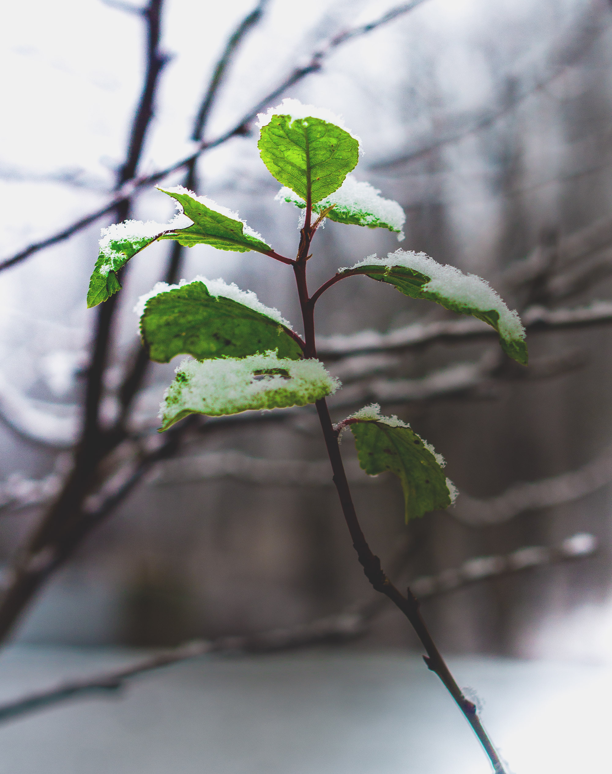 Природное. Обо всём