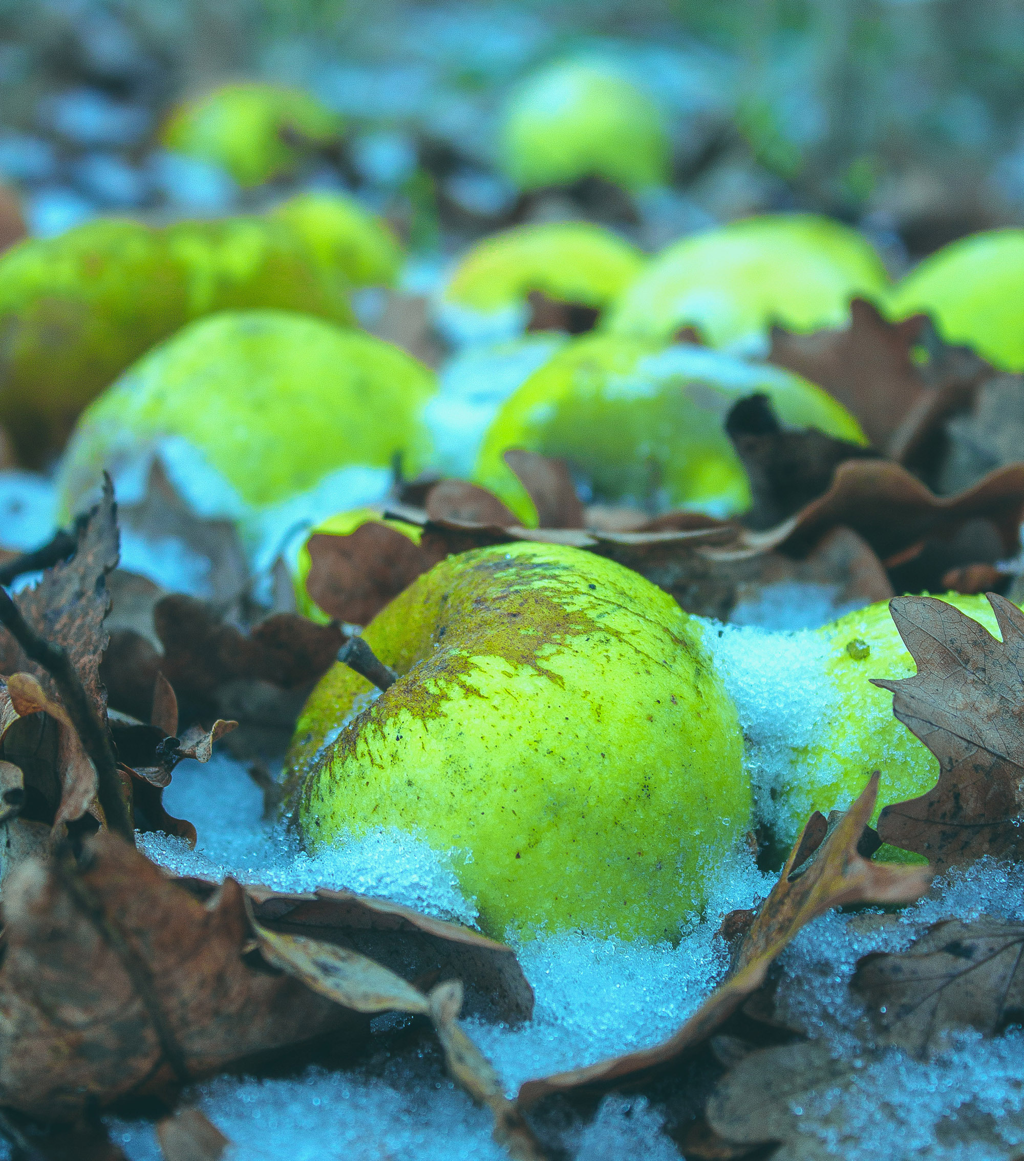 Природное. Обо всём