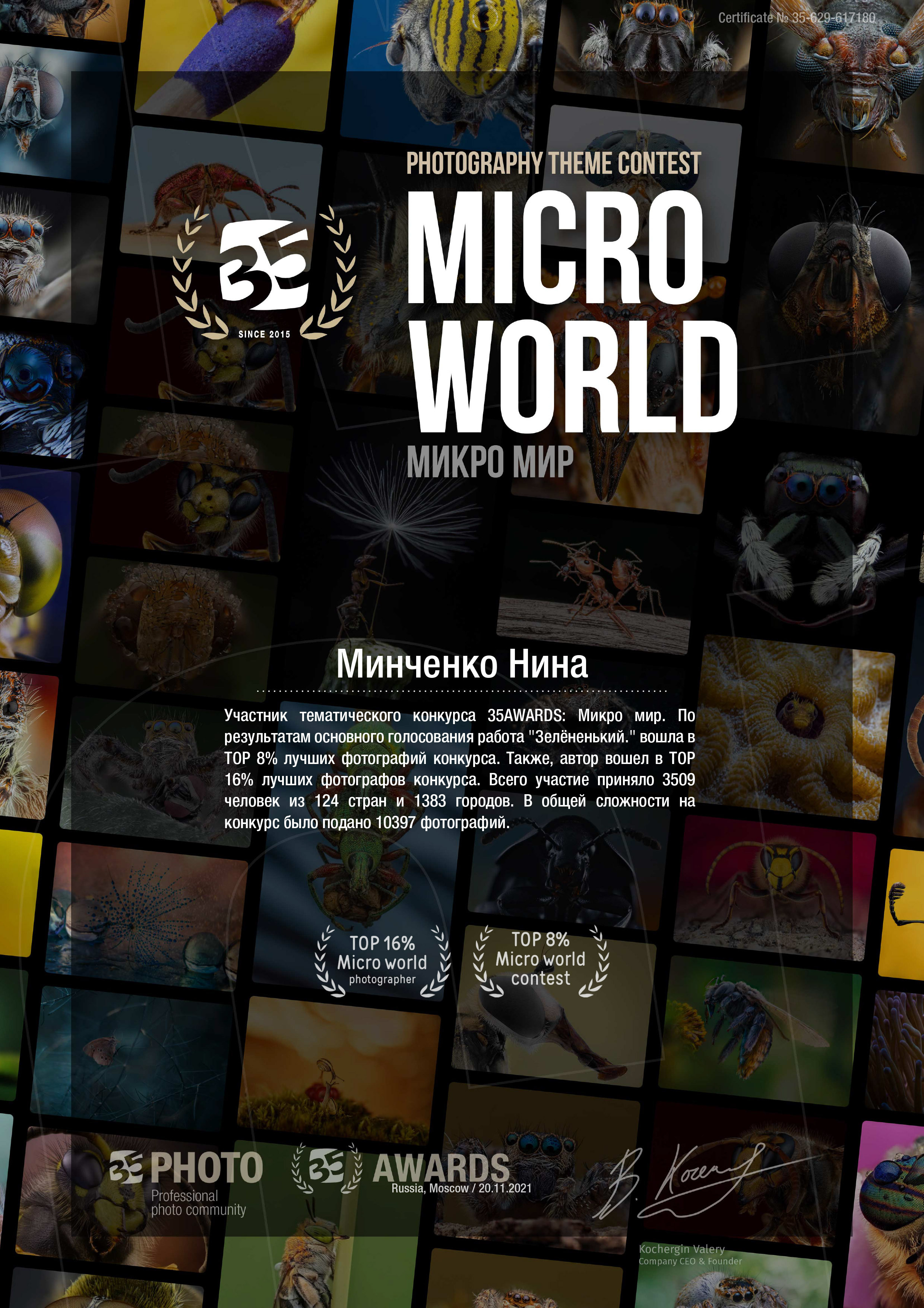 Мои достижения. Обо всём