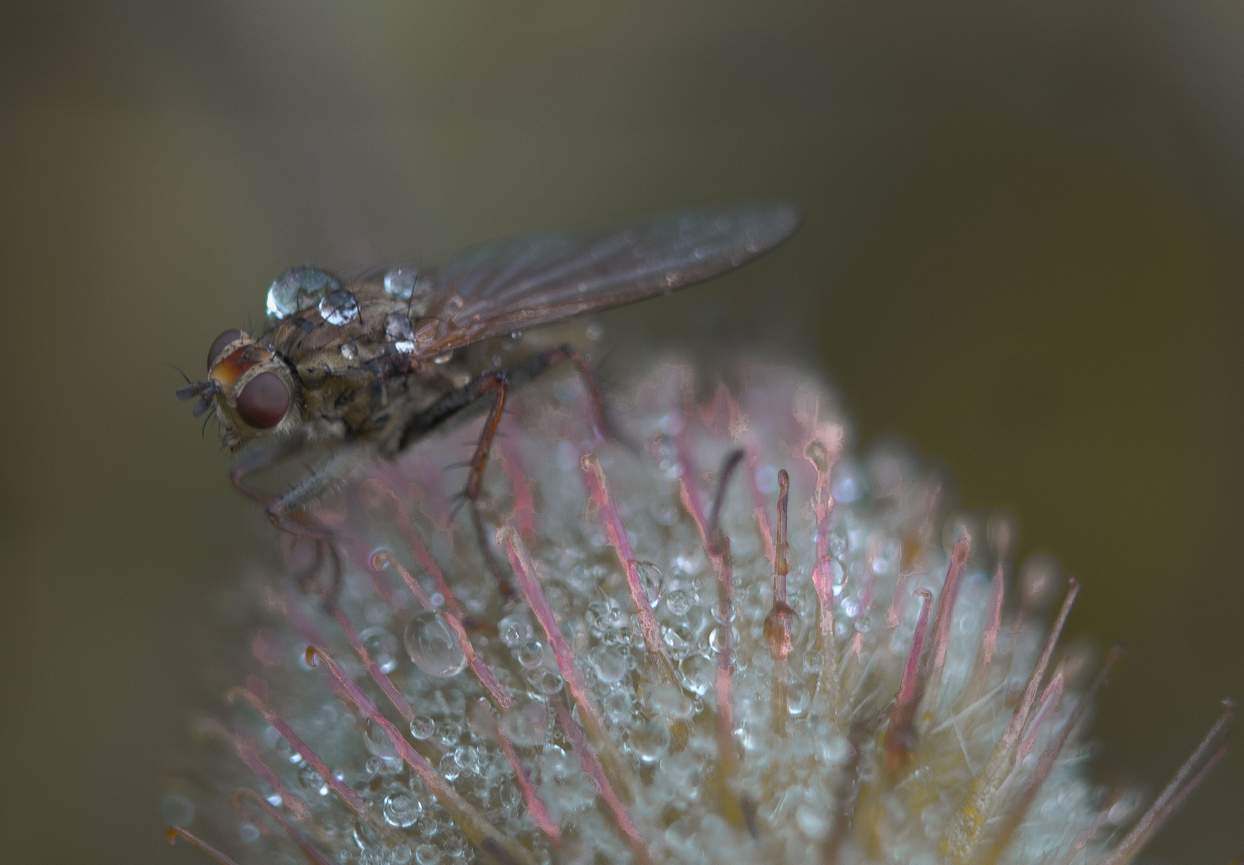 Макро. Обо всём