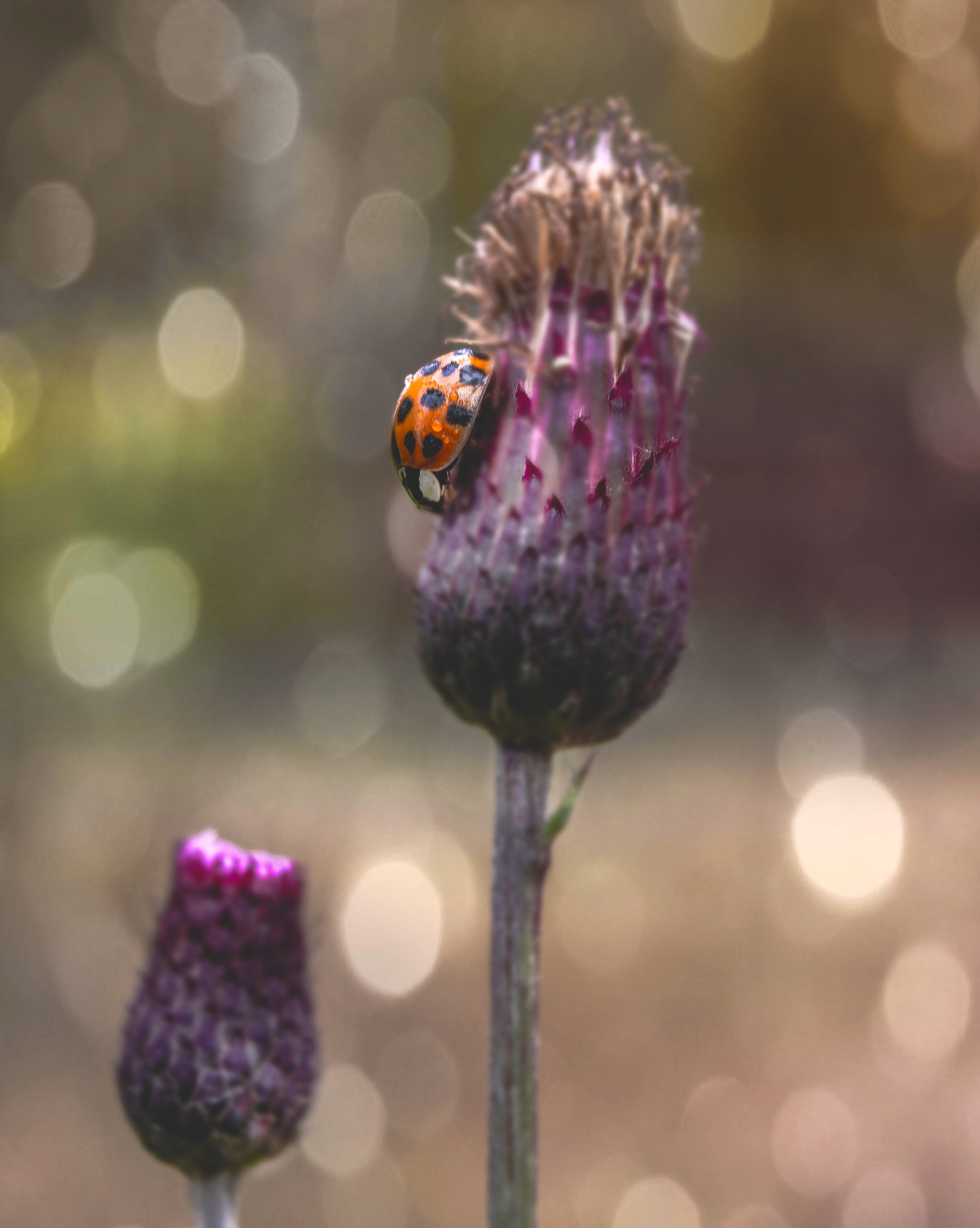 Миксы. Обо всём