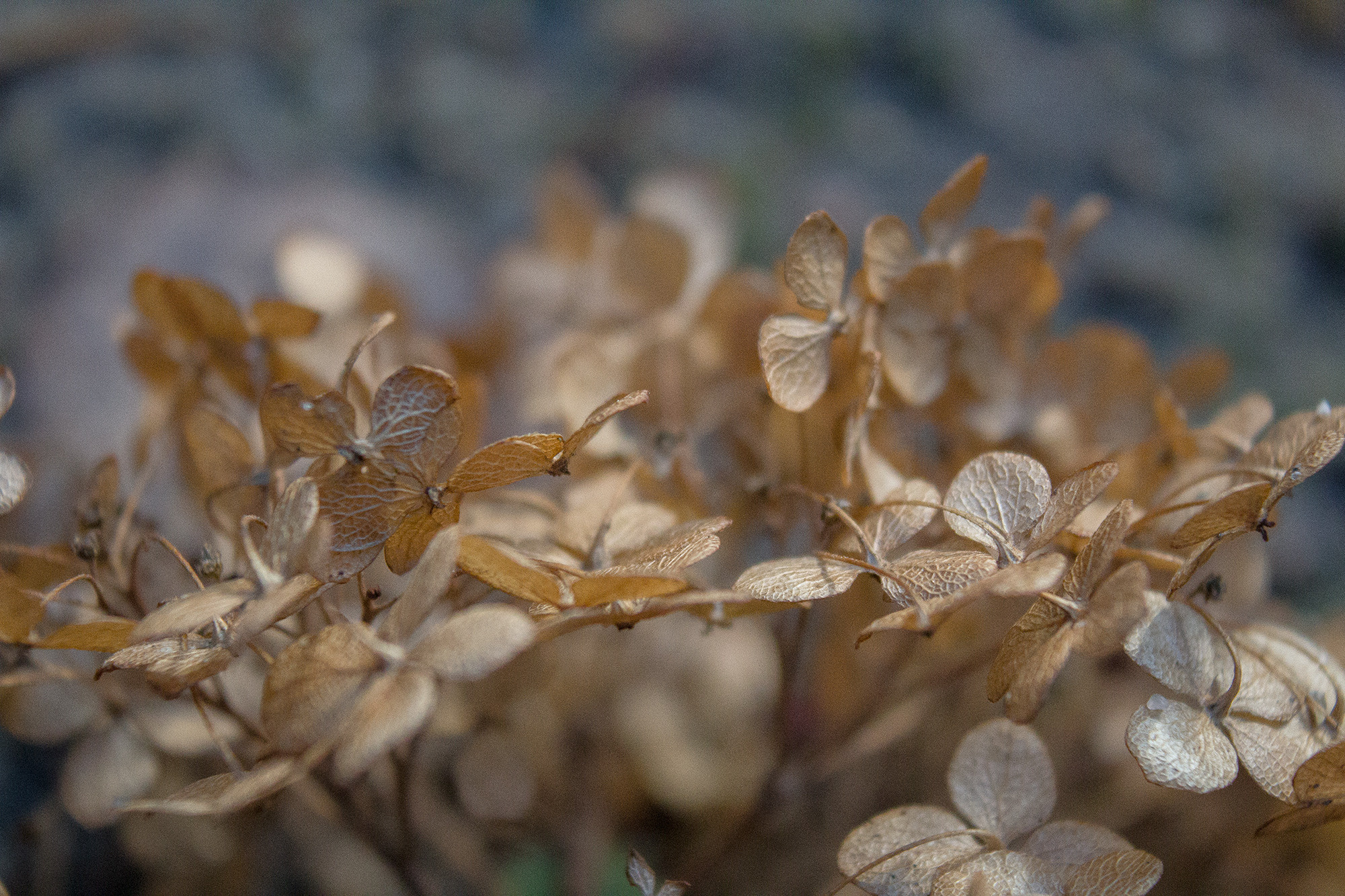 Природное. Обо всём