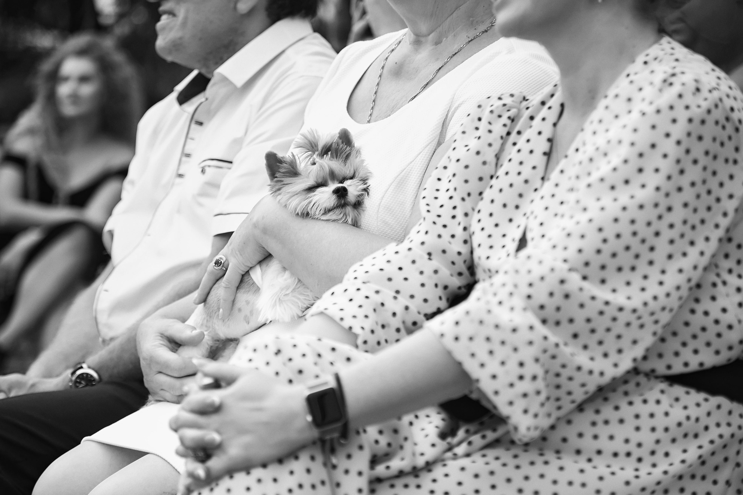 Свадьба в Усадьбе Фамилии. Фото и видео Twins Studio. ТВИНС СТУДИО — лучшие свадебные фотографы и видеографы в Краснодаре