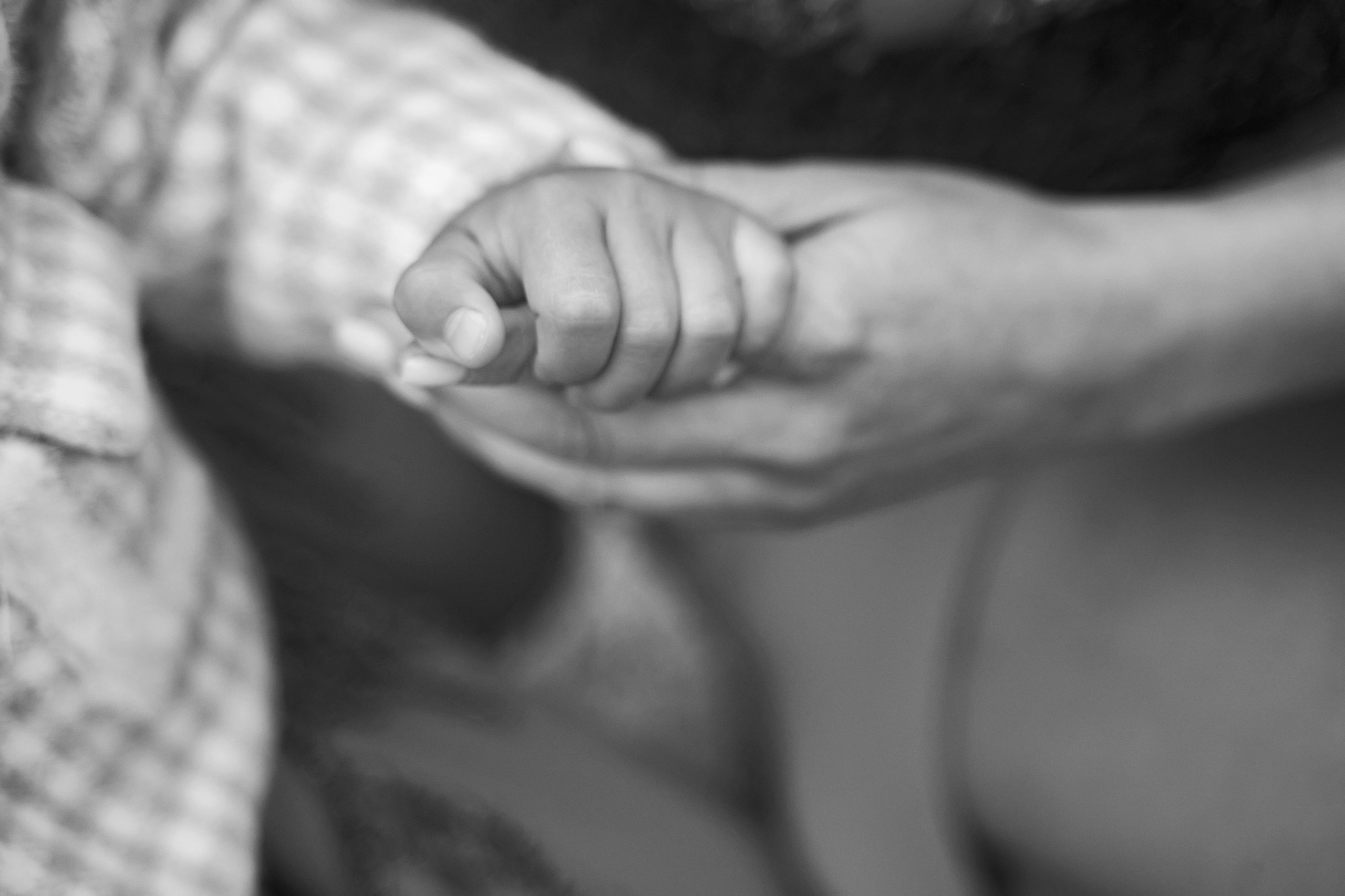 Красивая Армянская свадьба в Краснодаре от SAPG wedding. ТВИНС СТУДИО — лучшие свадебные фотографы и видеографы в Краснодаре