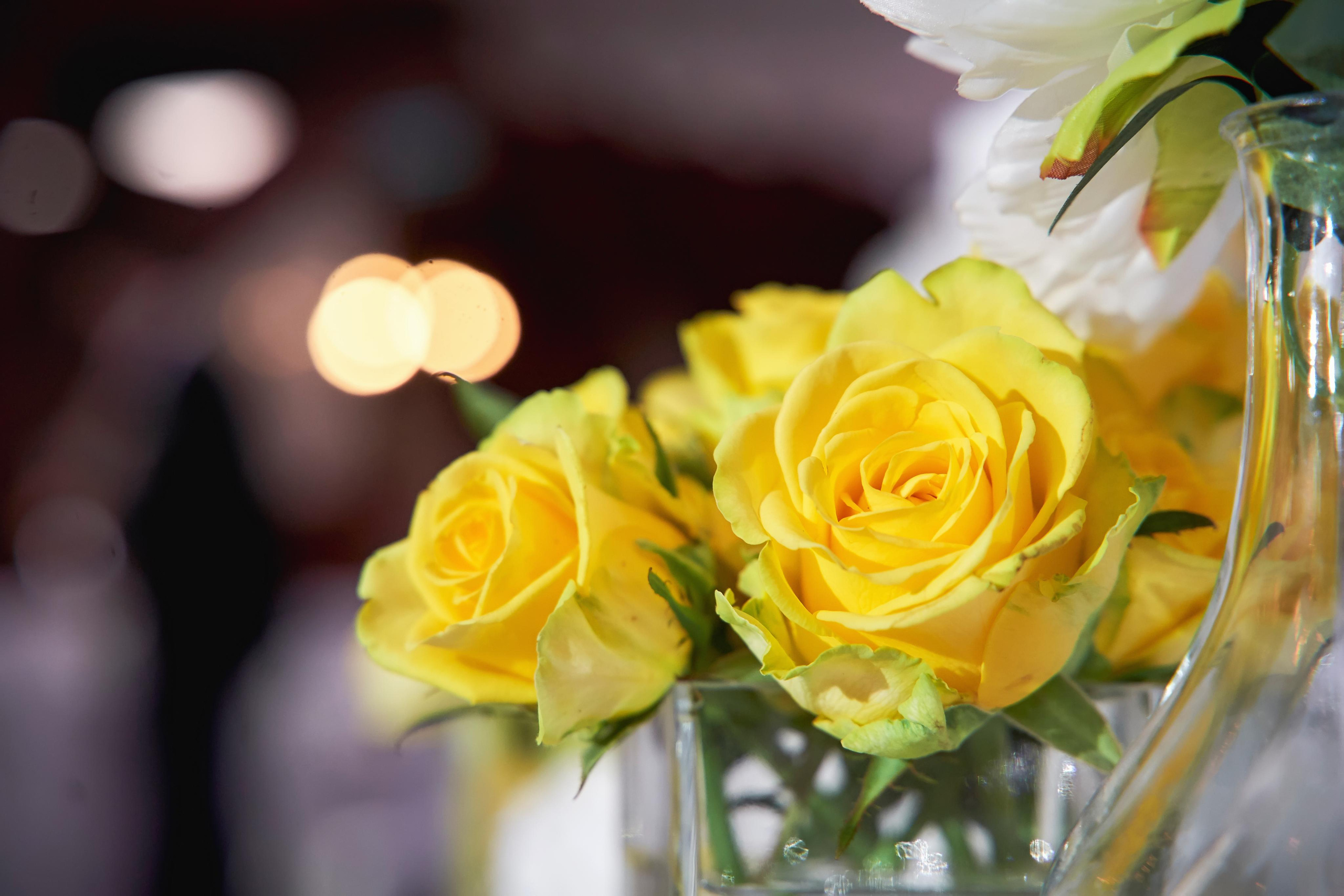 SAPG + TWINS STUDIO. ТВИНС СТУДИО — лучшие свадебные фотографы и видеографы в Краснодаре