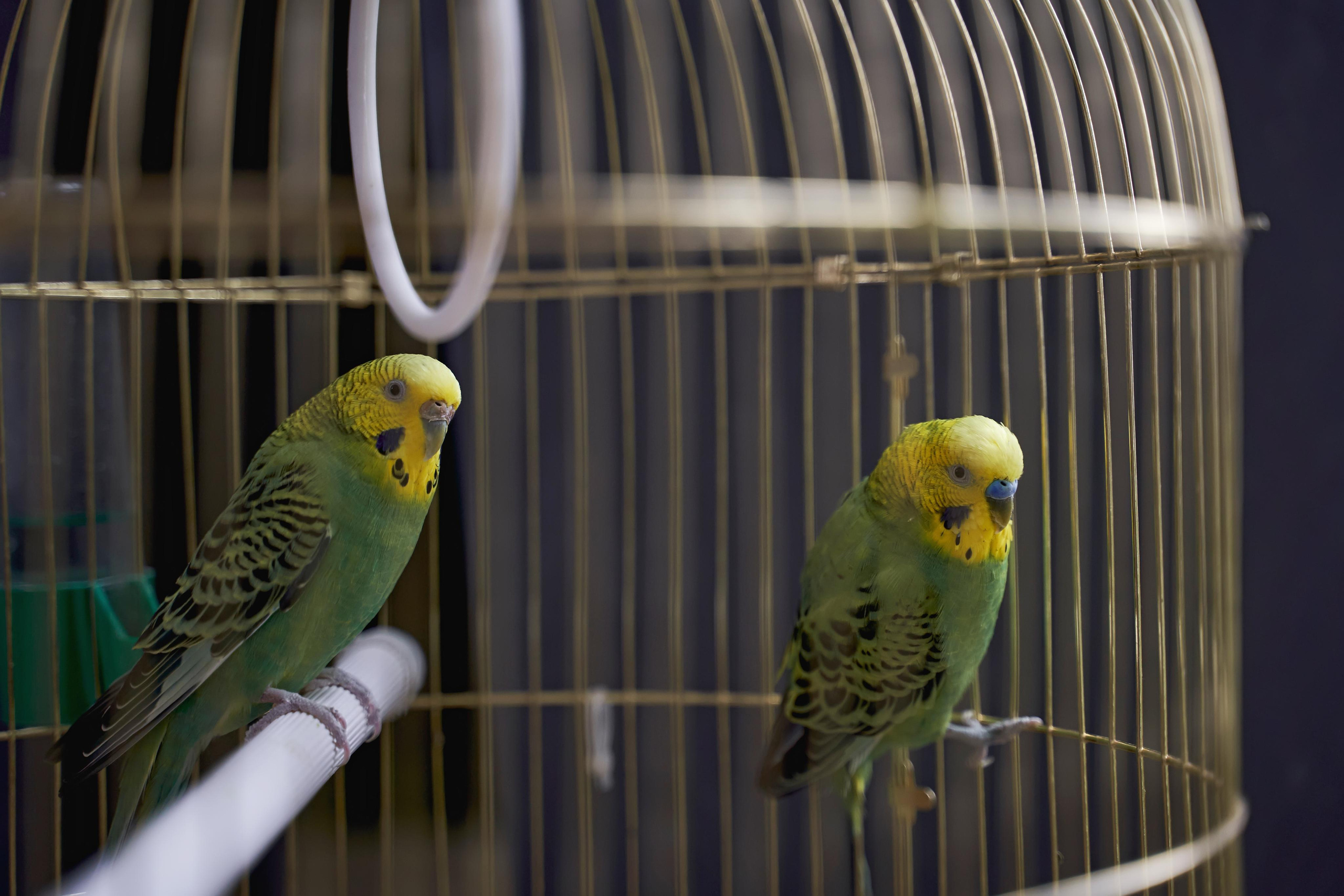 Самир Азарян и «три торнадо» Семейная фотосъёмка от Твинс Студио. ТВИНС СТУДИО — лучшие свадебные фотографы и видеографы в Краснодаре