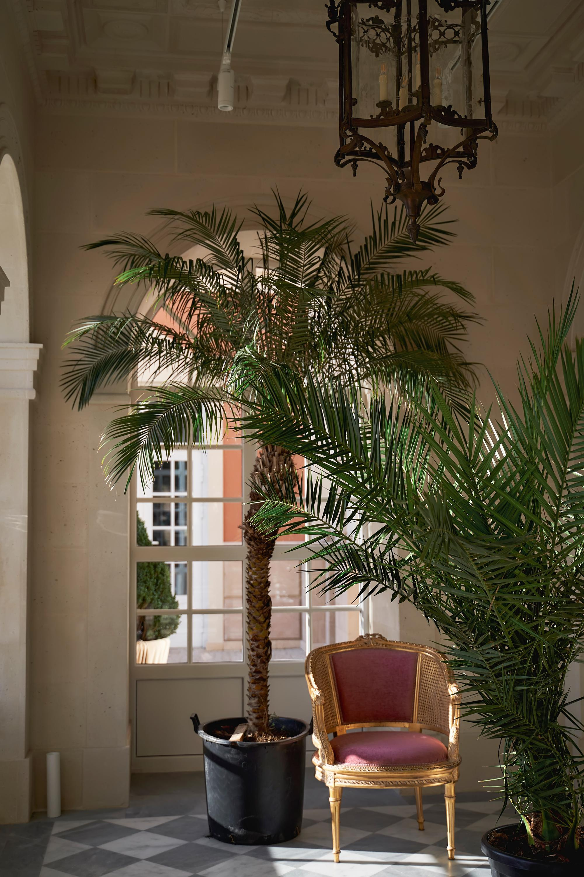 Красивая выездная регистрация в «Шато Де Талю» винодельня в Геленджике. ТВИНС СТУДИО — лучшие свадебные фотографы и видеографы в Краснодаре