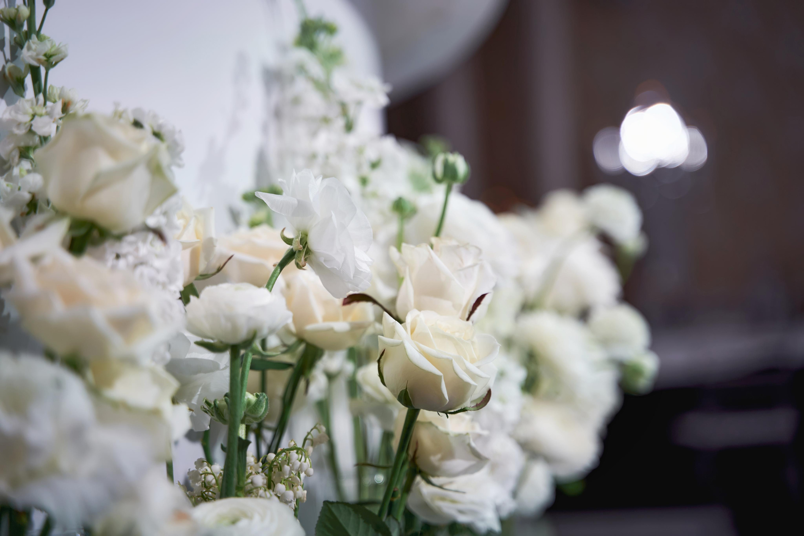 Красивая Армянская свадьба в Краснодаре от SAPG wedding. ТВИНС СТУДИО — лучшие свадебные фотографы и видеографы в Краснодаре