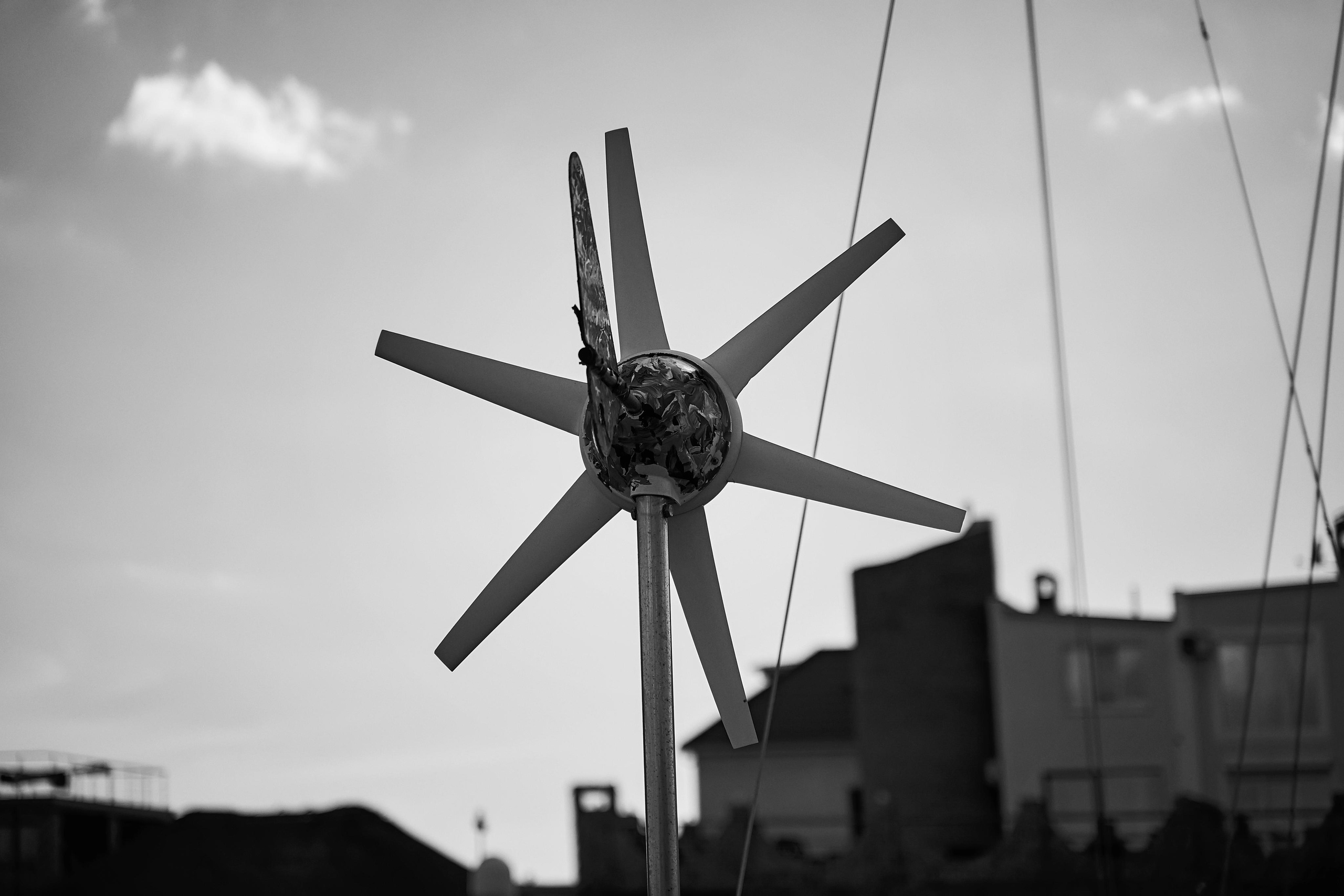 Прогулка на яхте в день свадьбы вместе с фото и видео Твинс Студио. ТВИНС СТУДИО — лучшие свадебные фотографы и видеографы в Краснодаре