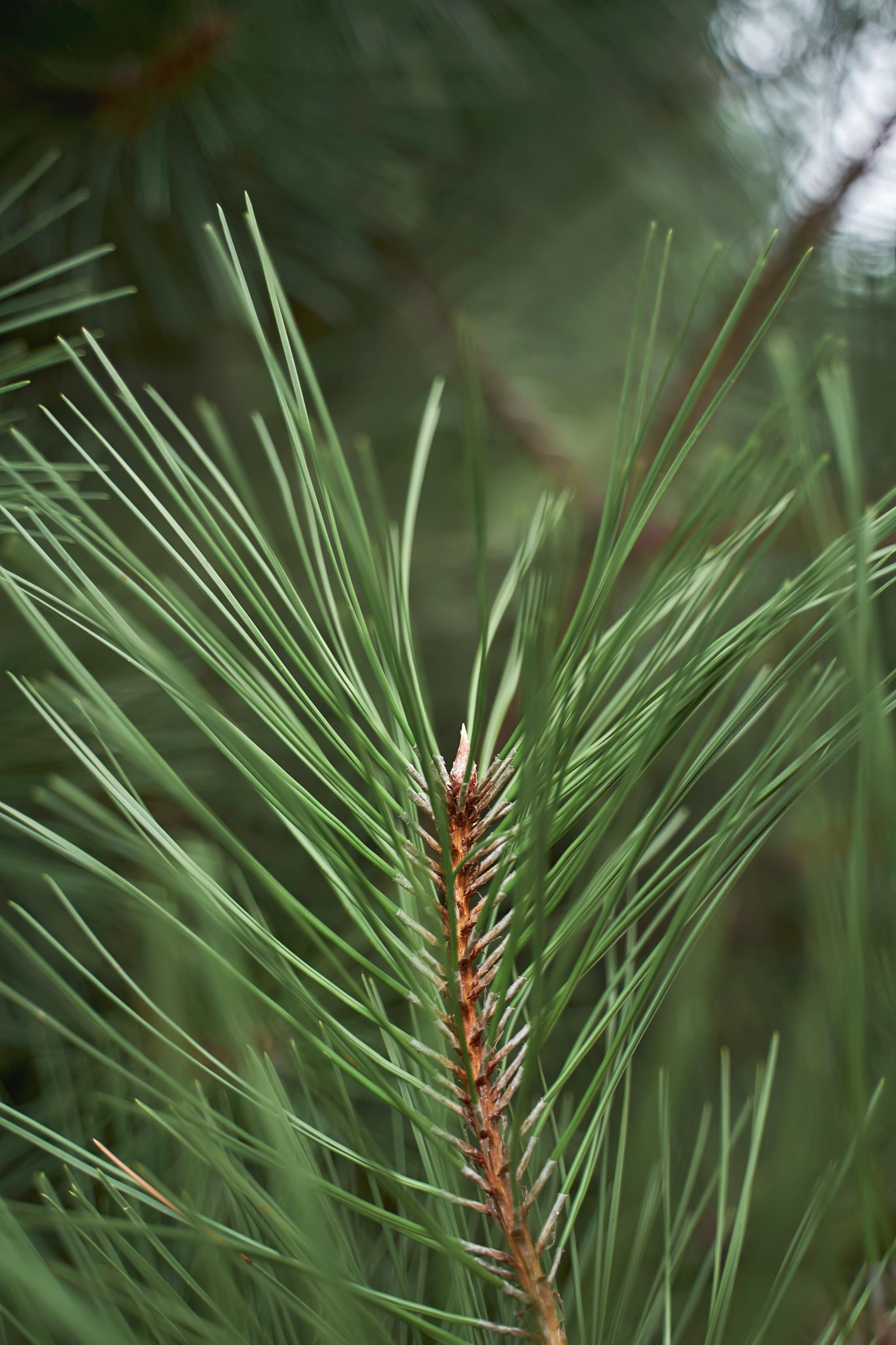 Свадьба в Усадьбе Фамилии. Фото и видео Twins Studio. ТВИНС СТУДИО — лучшие свадебные фотографы и видеографы в Краснодаре
