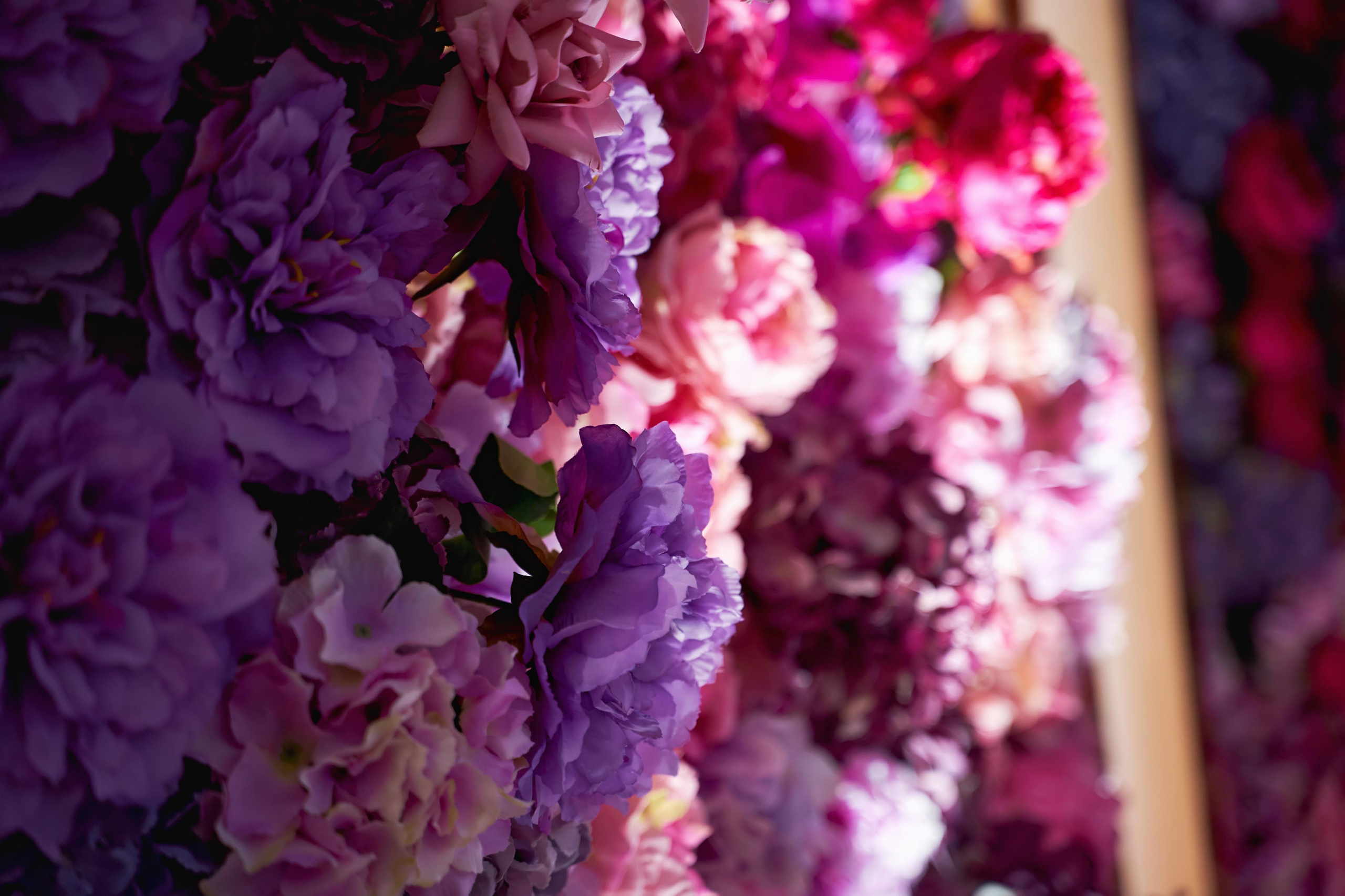 Красивая Армянская свадьба в Краснодаре от SAPG & TWINS STUDIO. ТВИНС СТУДИО — лучшие свадебные фотографы и видеографы в Краснодаре