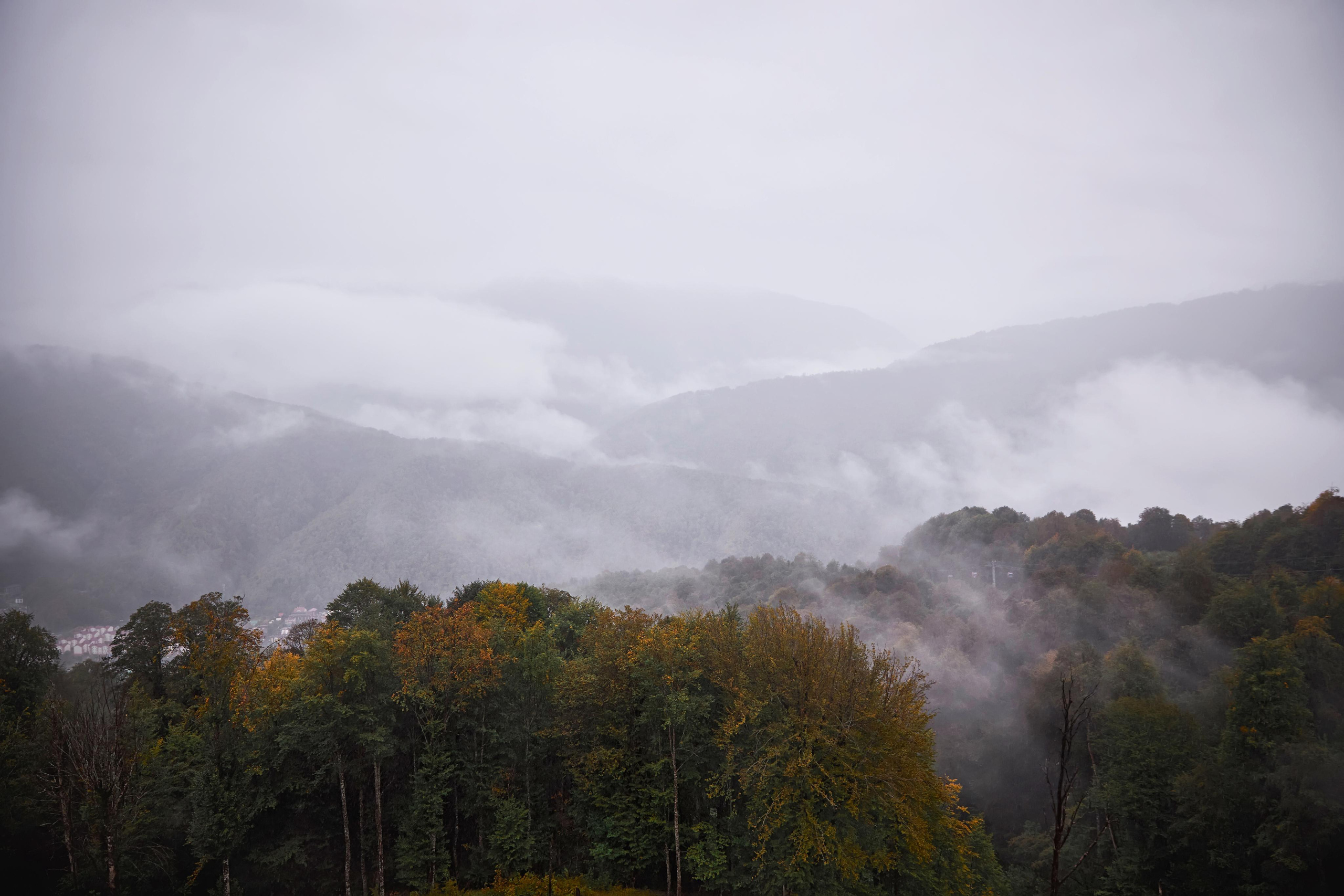 Свадьба в Красной Поляне от TWINS STUDIO в окружении гор. ТВИНС СТУДИО — лучшие свадебные фотографы и видеографы в Краснодаре