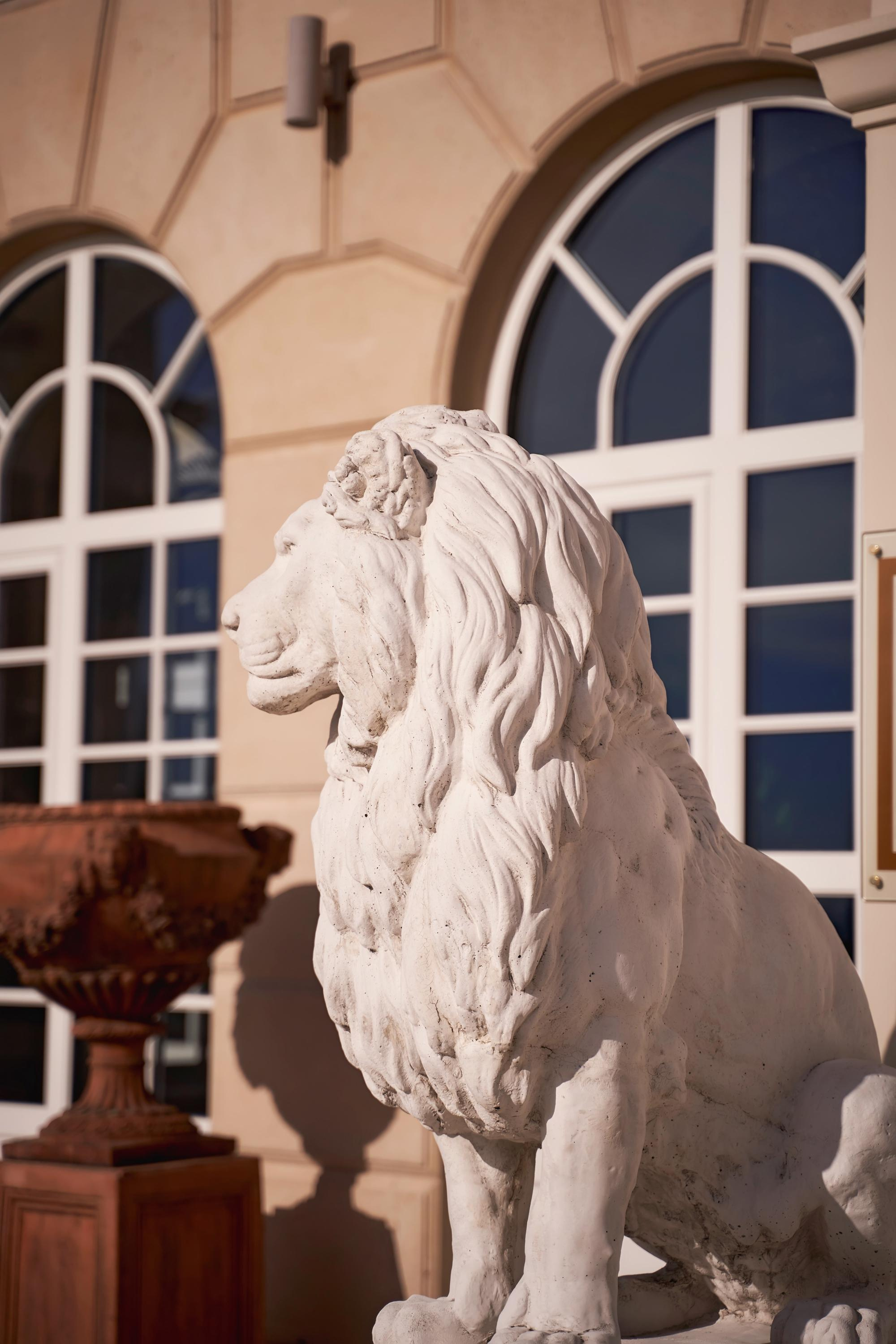 Красивая выездная регистрация в «Шато Де Талю» винодельня в Геленджике. ТВИНС СТУДИО — лучшие свадебные фотографы и видеографы в Краснодаре