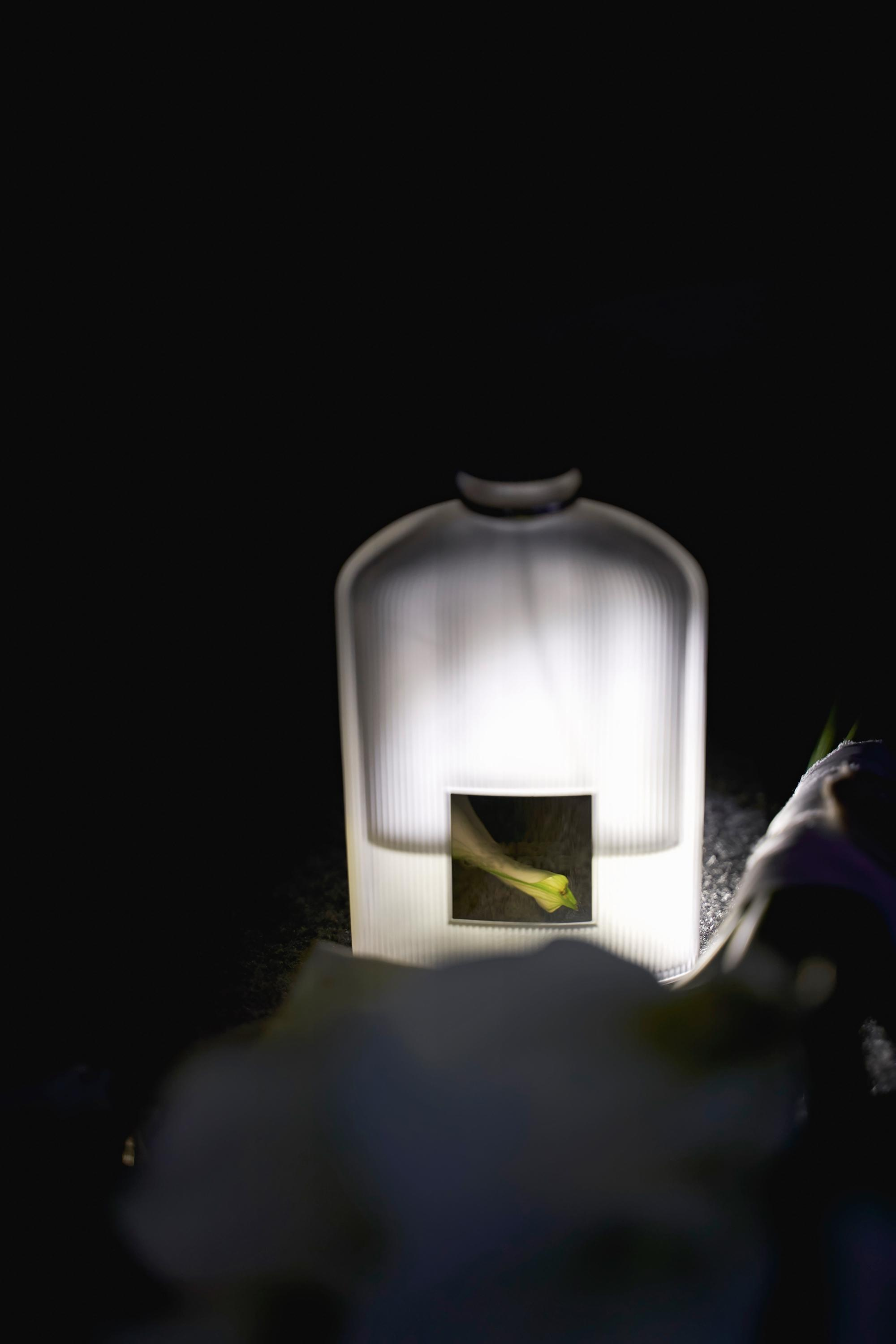 Красивая выездная регистрация в «Шато Де Талю» винодельня в Геленджике. ТВИНС СТУДИО — лучшие свадебные фотографы и видеографы в Краснодаре