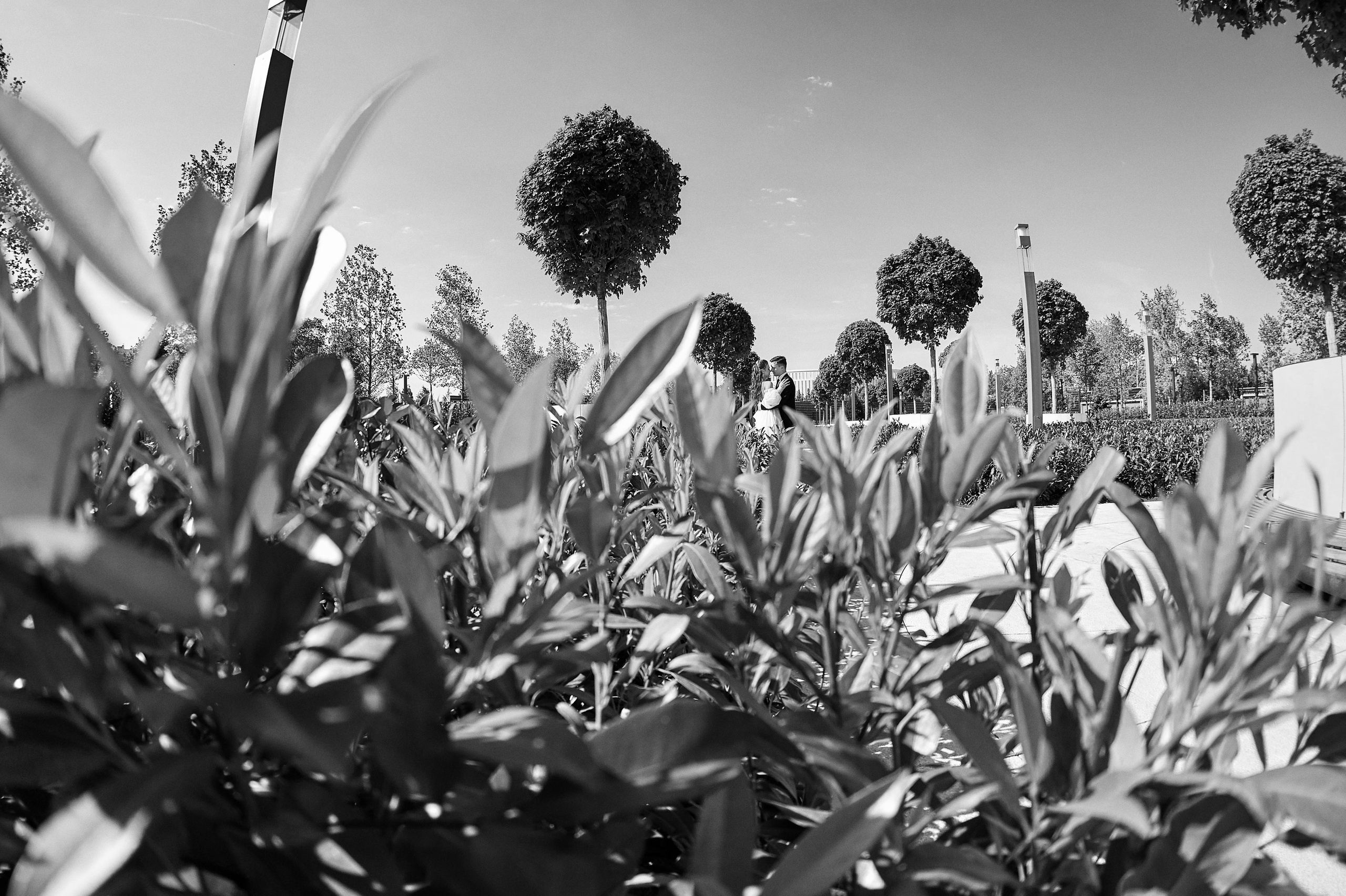 Камерная свадьба в фотостудии, парке Галицкого и Екатерининском загсе. ТВИНС СТУДИО — лучшие свадебные фотографы и видеографы в Краснодаре