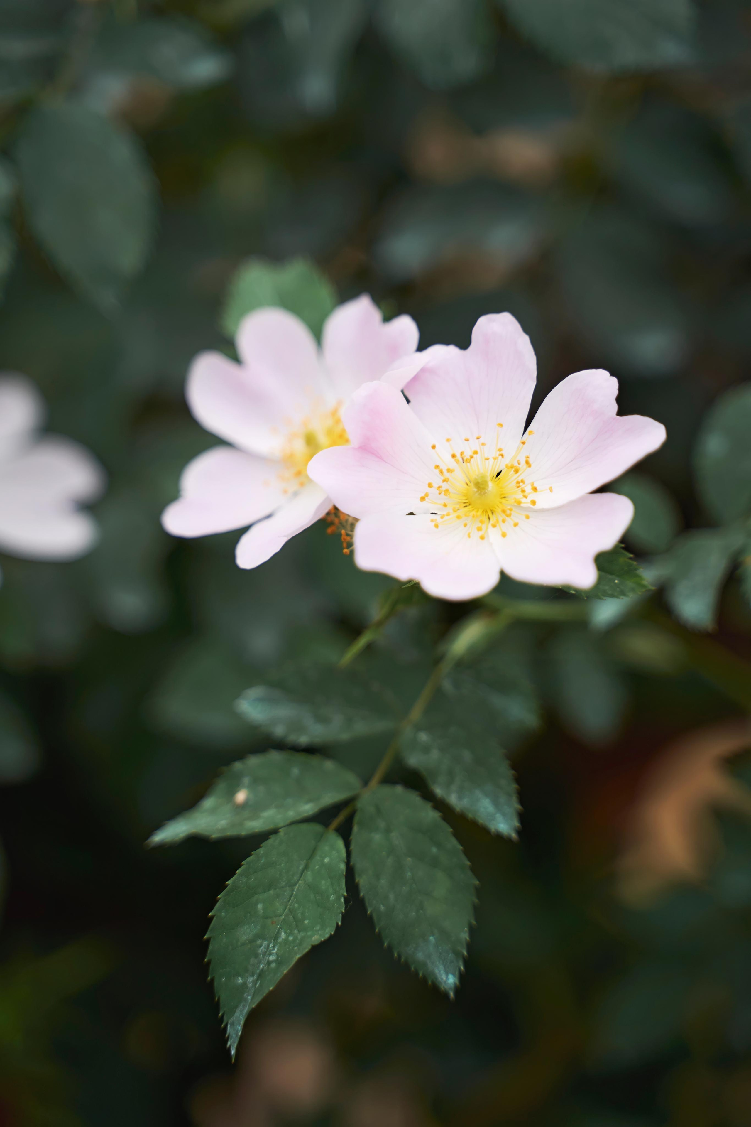 «Гол в свою жизнь» | свадьба профессионального футболиста Голубева 22. ТВИНС СТУДИО — лучшие свадебные фотографы и видеографы в Краснодаре