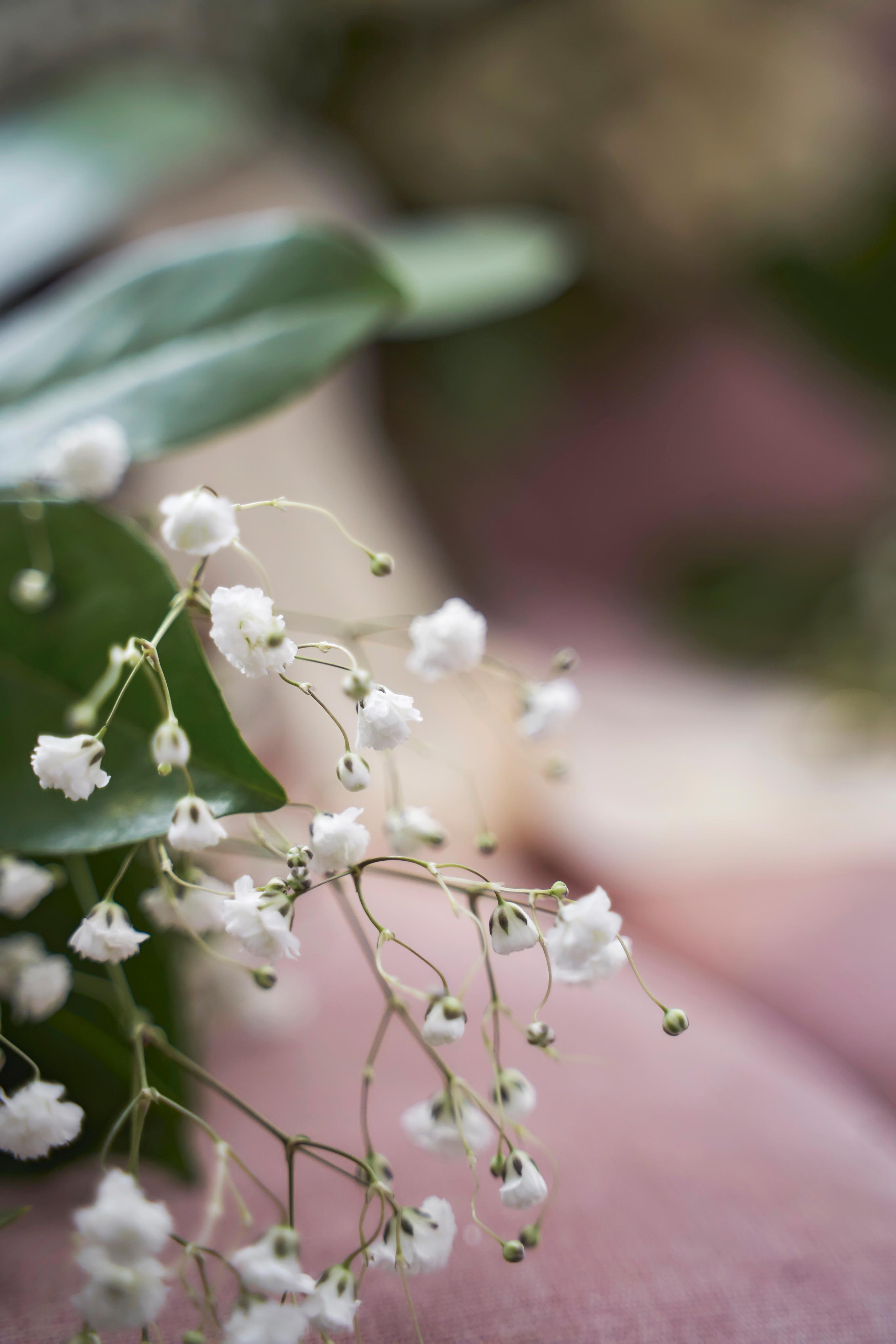 Свадьба в Усадьбе Фамилии. Фото и видео Twins Studio. ТВИНС СТУДИО — лучшие свадебные фотографы и видеографы в Краснодаре
