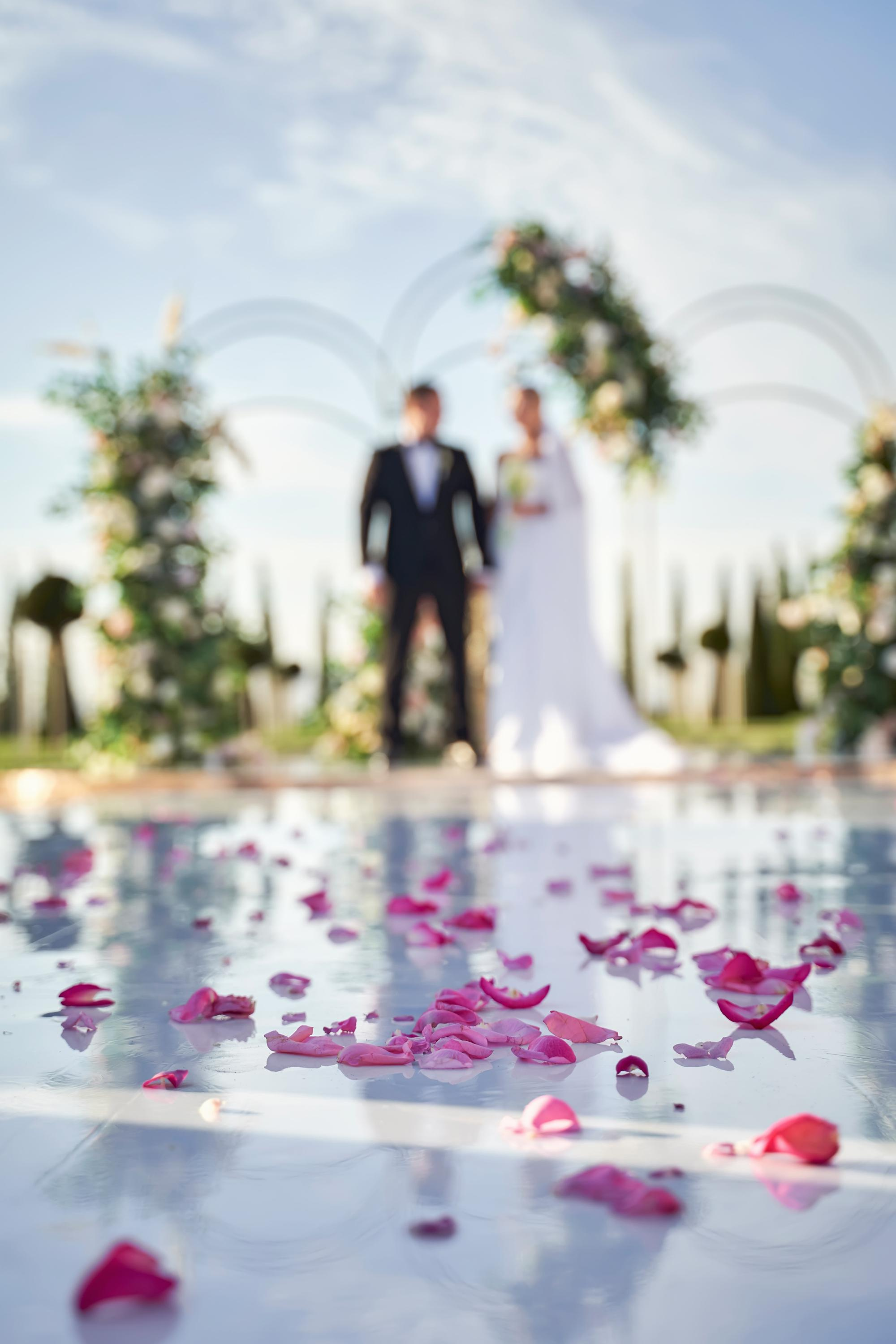 Красивая выездная регистрация в «Шато Де Талю» винодельня в Геленджике. ТВИНС СТУДИО — лучшие свадебные фотографы и видеографы в Краснодаре