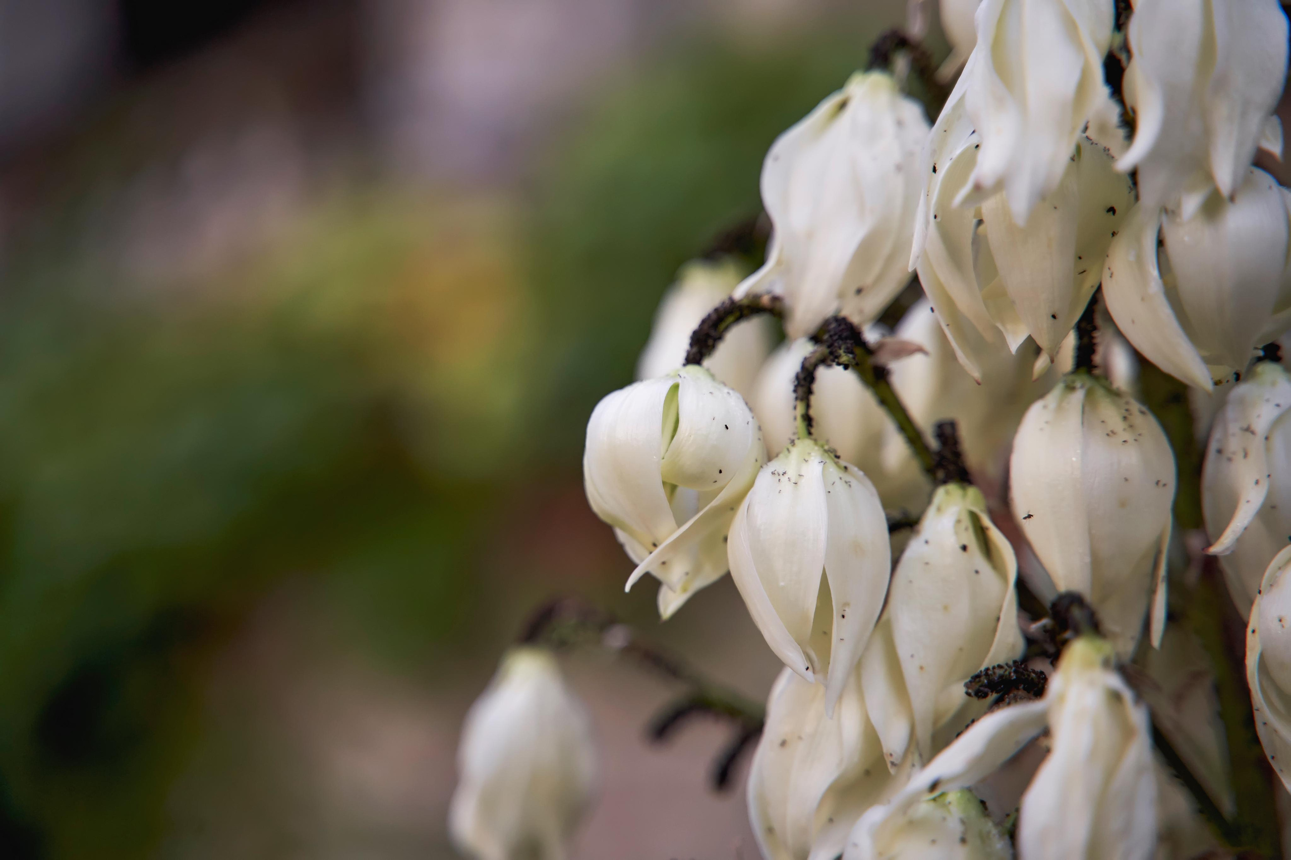 SAPG + TWINS STUDIO. ТВИНС СТУДИО — лучшие свадебные фотографы и видеографы в Краснодаре