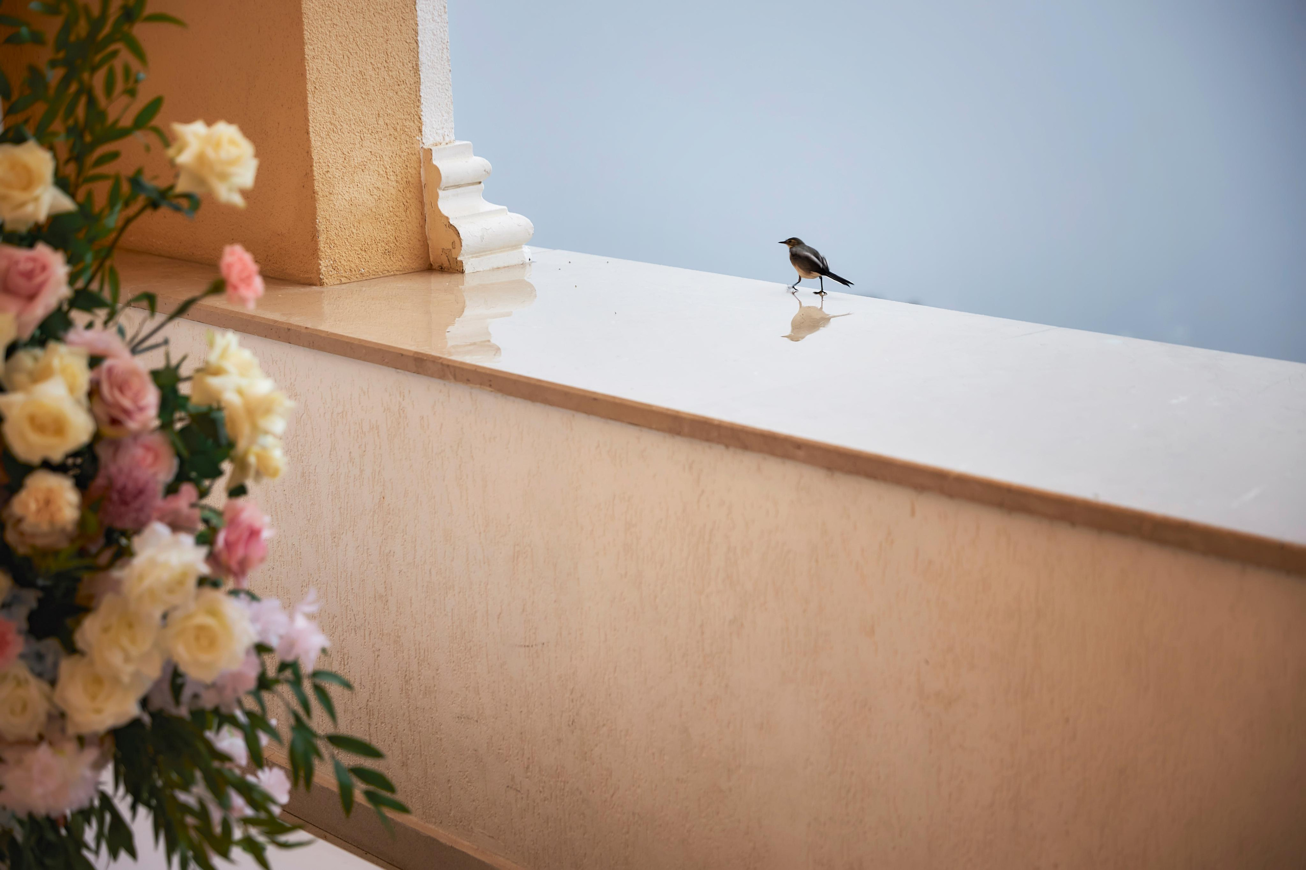 Свадьба в Красной Поляне от TWINS STUDIO в окружении гор. ТВИНС СТУДИО — лучшие свадебные фотографы и видеографы в Краснодаре