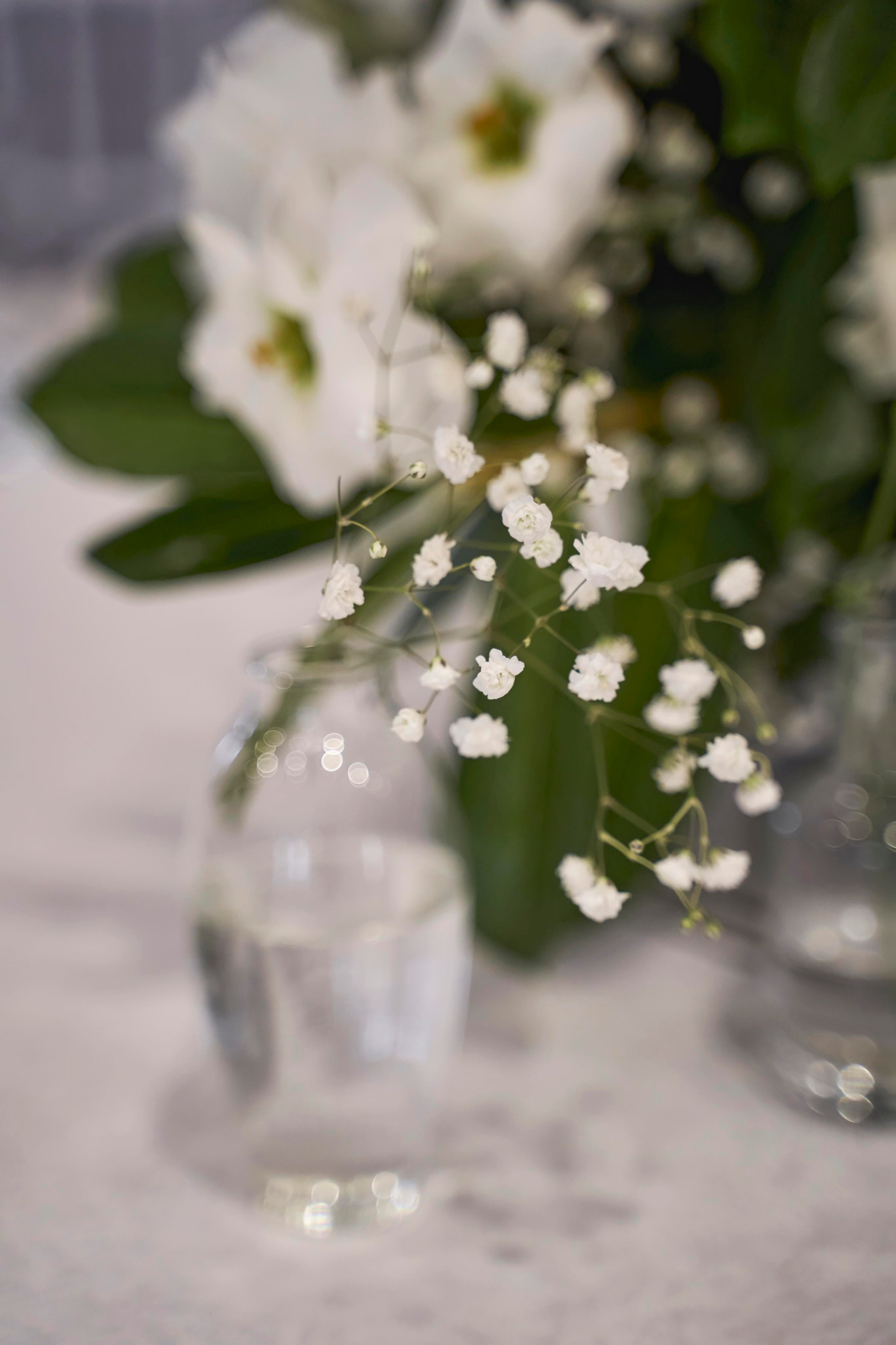 Свадьба в Усадьбе Фамилии. Фото и видео Twins Studio. ТВИНС СТУДИО — лучшие свадебные фотографы и видеографы в Краснодаре