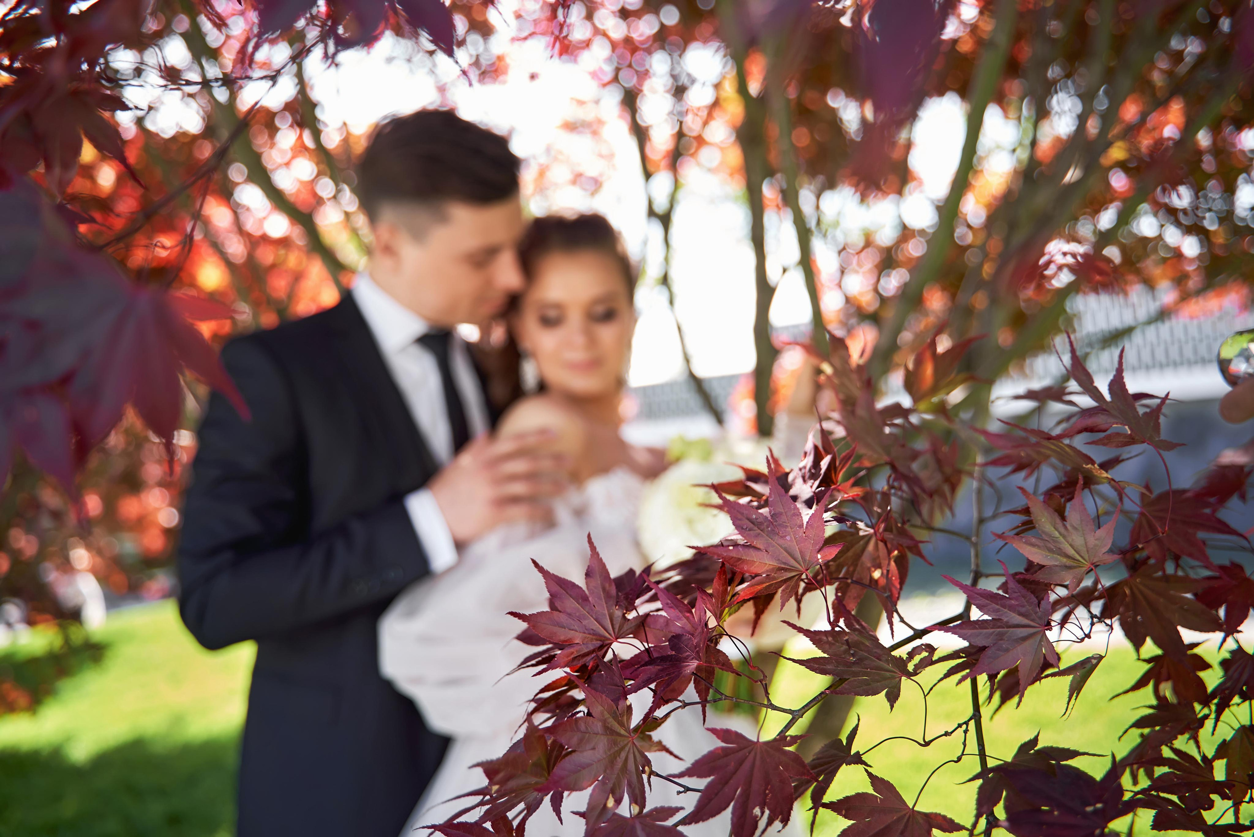 Камерная свадьба в фотостудии, парке Галицкого и Екатерининском загсе. ТВИНС СТУДИО — лучшие свадебные фотографы и видеографы в Краснодаре