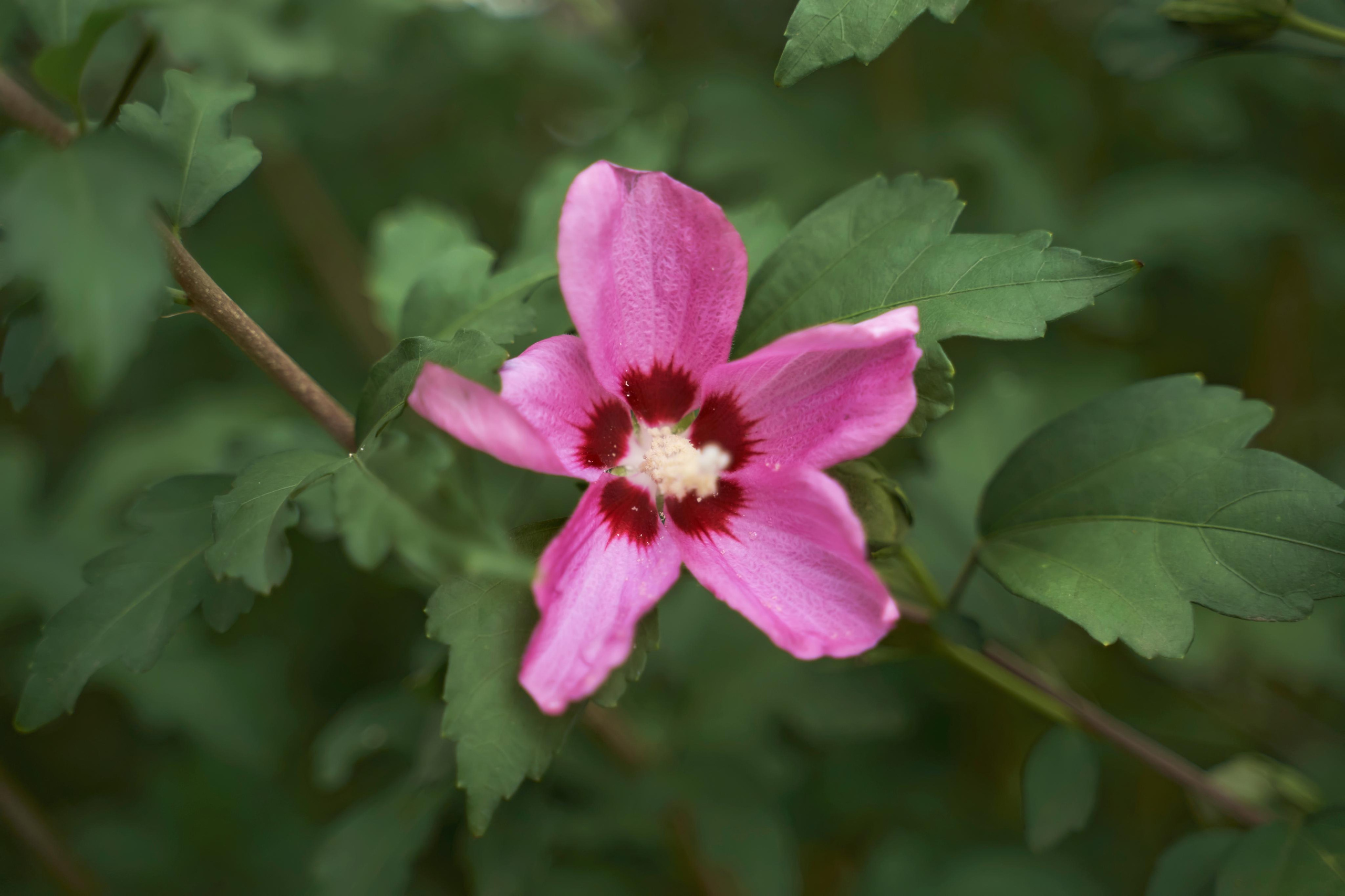 Свадьба в Усадьбе Фамилии. Фото и видео Twins Studio. ТВИНС СТУДИО — лучшие свадебные фотографы и видеографы в Краснодаре