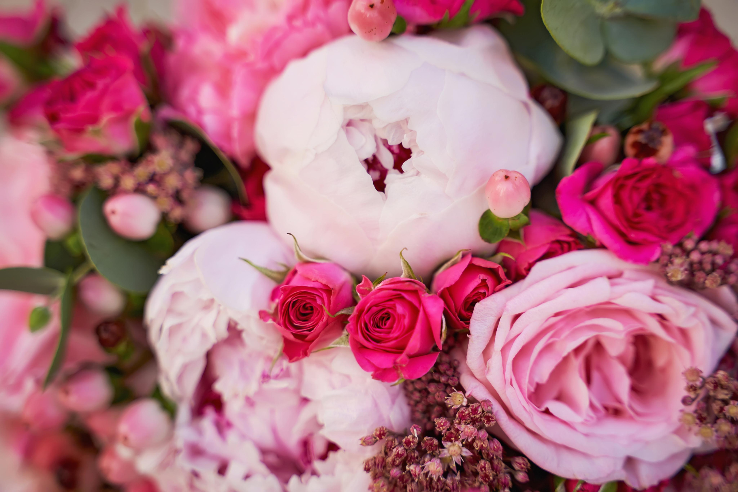 Красивая Армянская свадьба в Краснодаре от SAPG & TWINS STUDIO. ТВИНС СТУДИО — лучшие свадебные фотографы и видеографы в Краснодаре