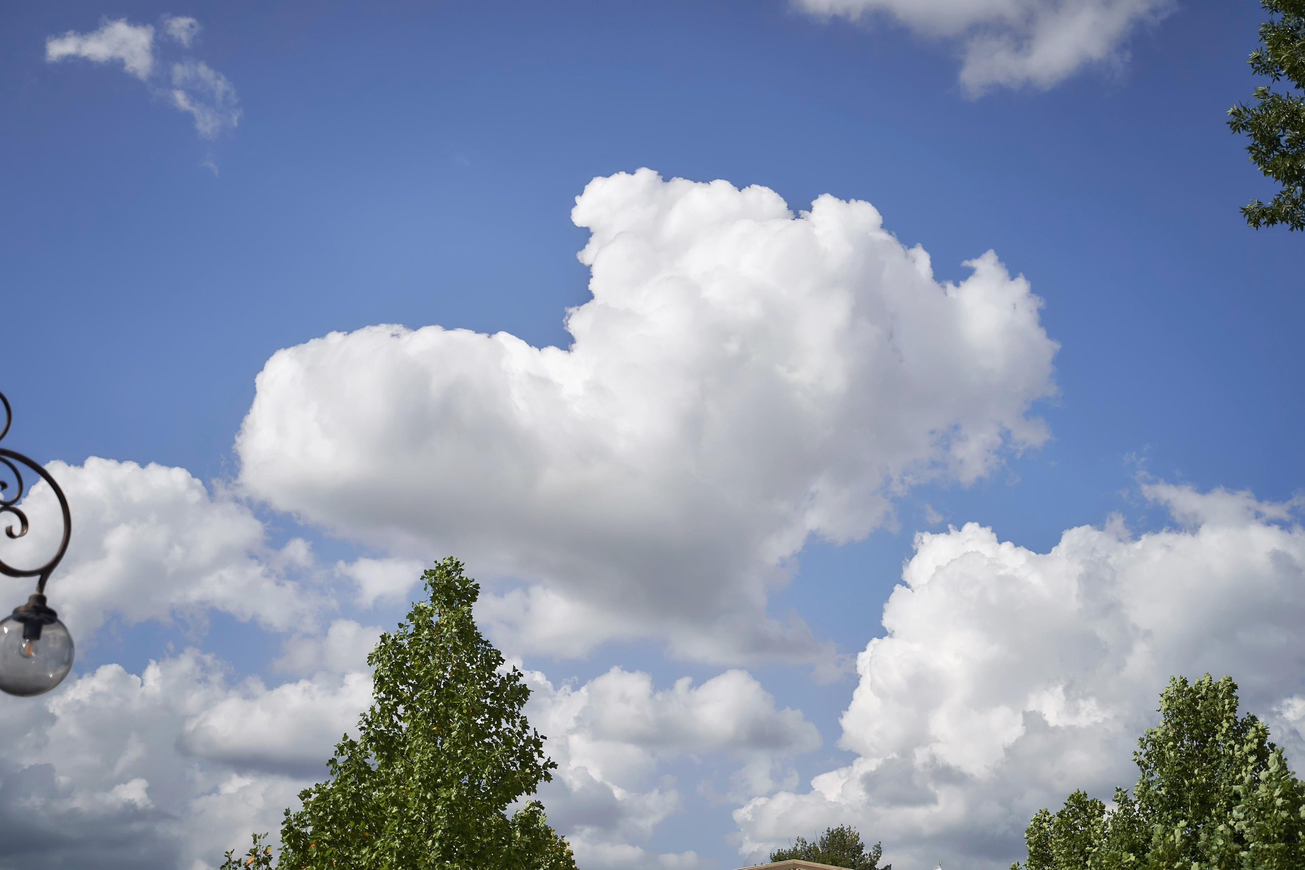 Красивая Армянская свадьба в Краснодаре от SAPG & TWINS STUDIO. ТВИНС СТУДИО — лучшие свадебные фотографы и видеографы в Краснодаре