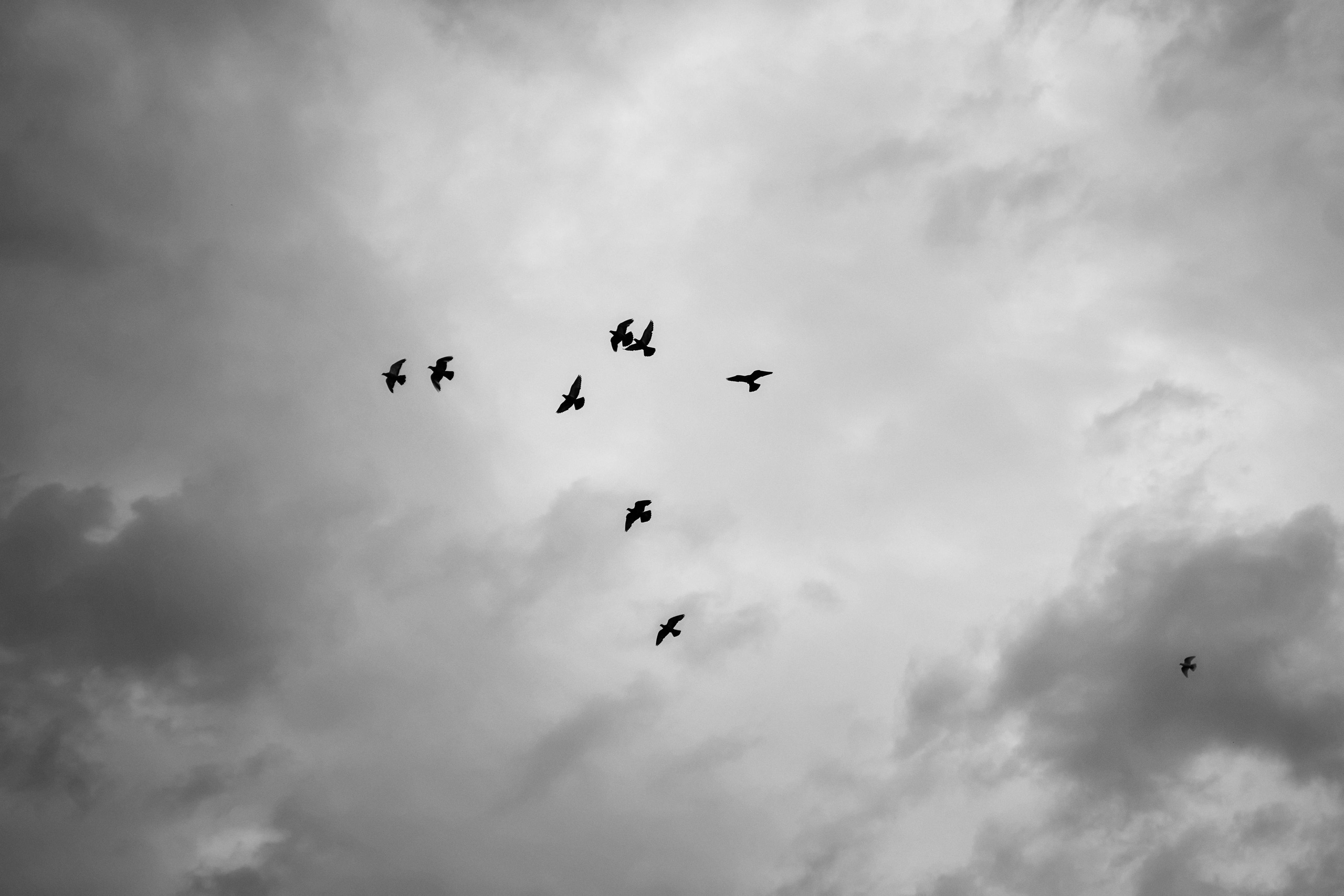 Свадьба в Усадьбе Фамилии. Фото и видео Twins Studio. ТВИНС СТУДИО — лучшие свадебные фотографы и видеографы в Краснодаре