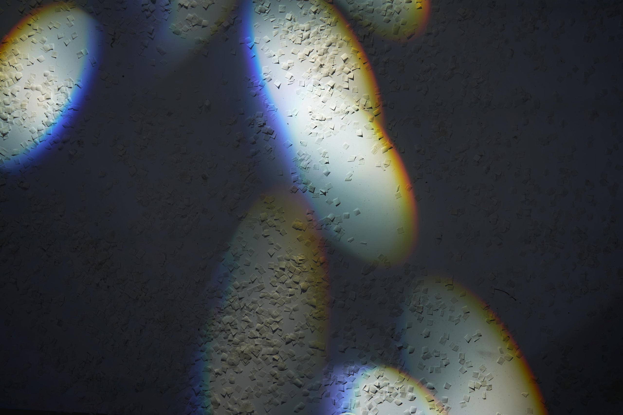 Красивая Армянская свадьба в Краснодаре от SAPG wedding. ТВИНС СТУДИО — лучшие свадебные фотографы и видеографы в Краснодаре