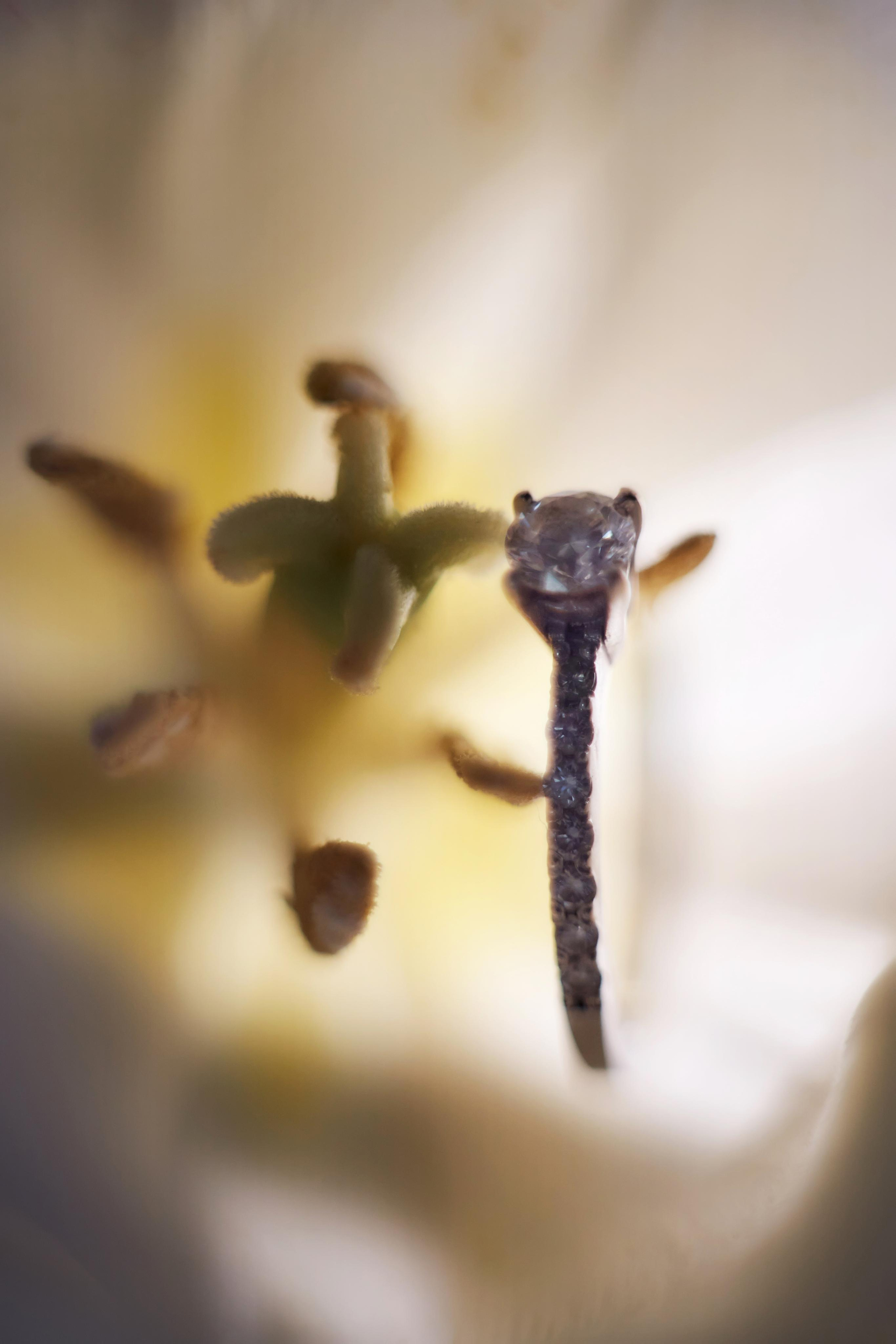 ПОРТФОЛИО TWINS STUDIO. ТВИНС СТУДИО — лучшие свадебные фотографы и видеографы в Краснодаре