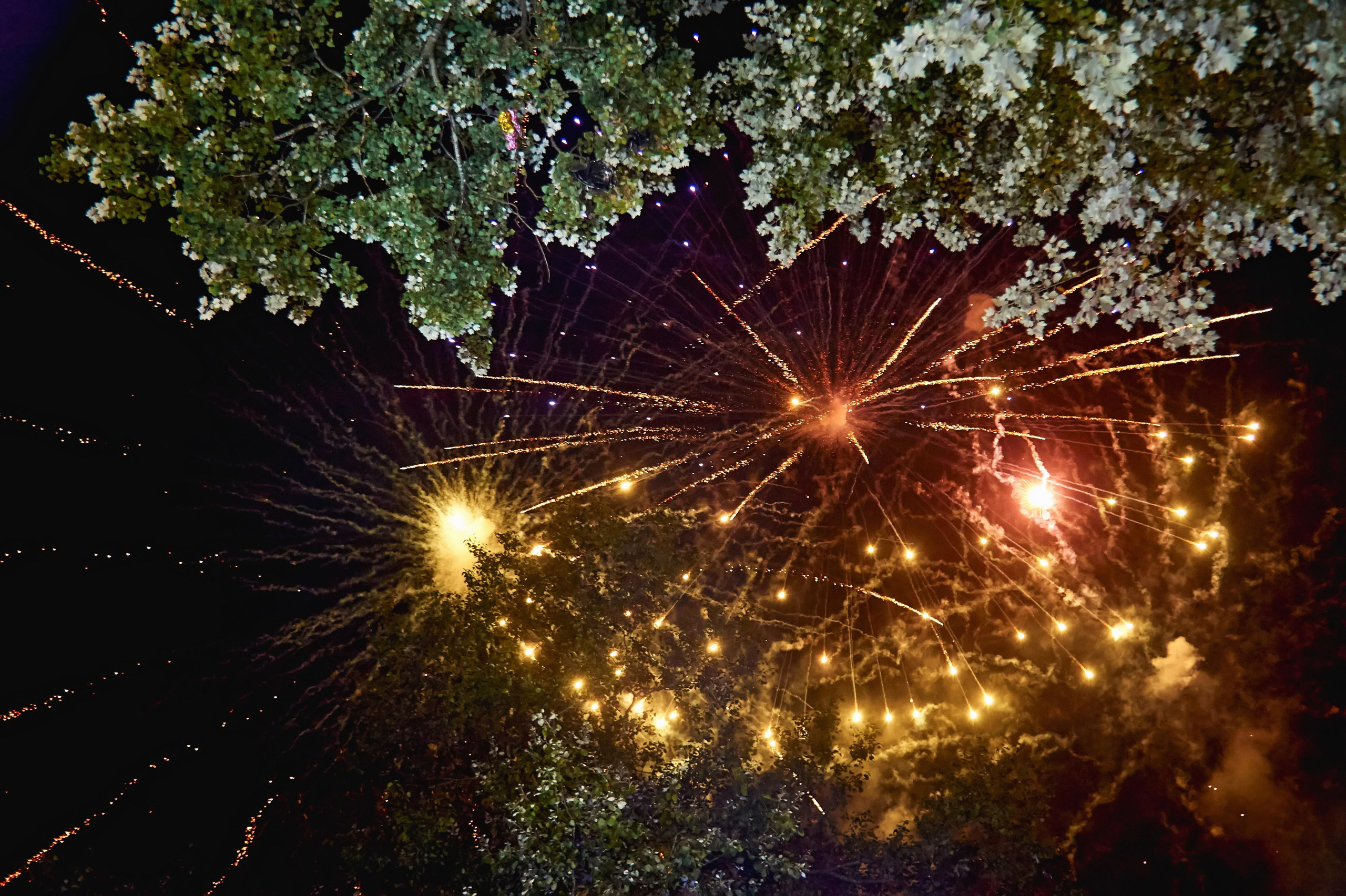 SAPG + TWINS STUDIO. ТВИНС СТУДИО — лучшие свадебные фотографы и видеографы в Краснодаре