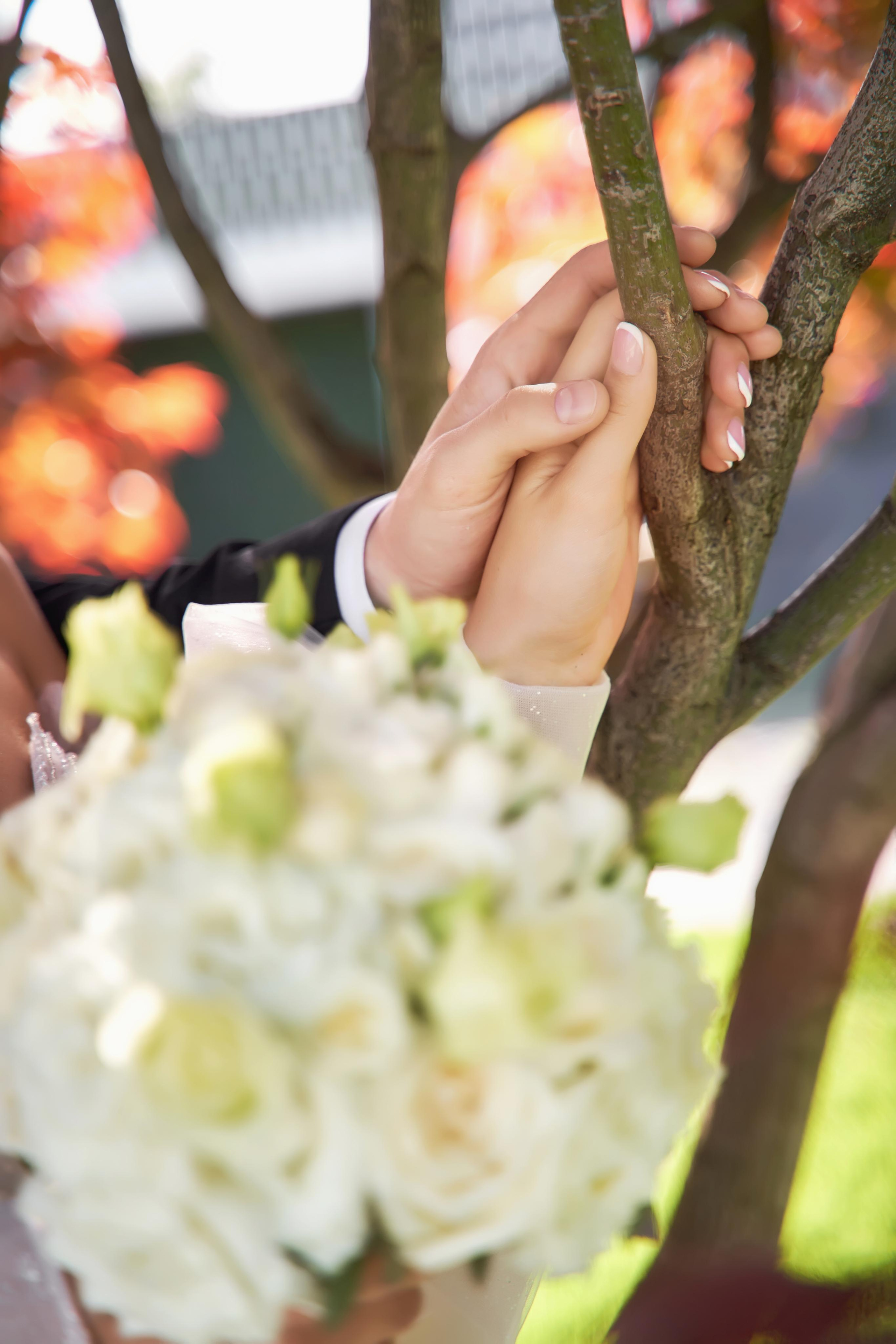 Камерная свадьба в фотостудии, парке Галицкого и Екатерининском загсе. ТВИНС СТУДИО — лучшие свадебные фотографы и видеографы в Краснодаре