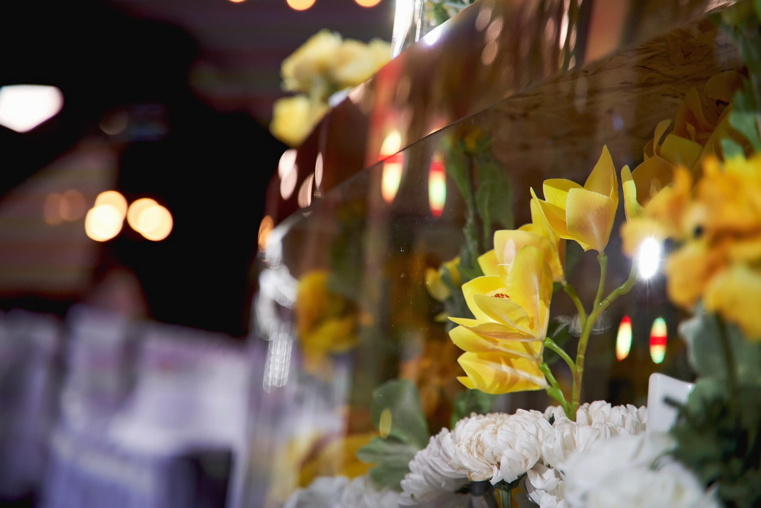 SAPG + TWINS STUDIO. ТВИНС СТУДИО — лучшие свадебные фотографы и видеографы в Краснодаре