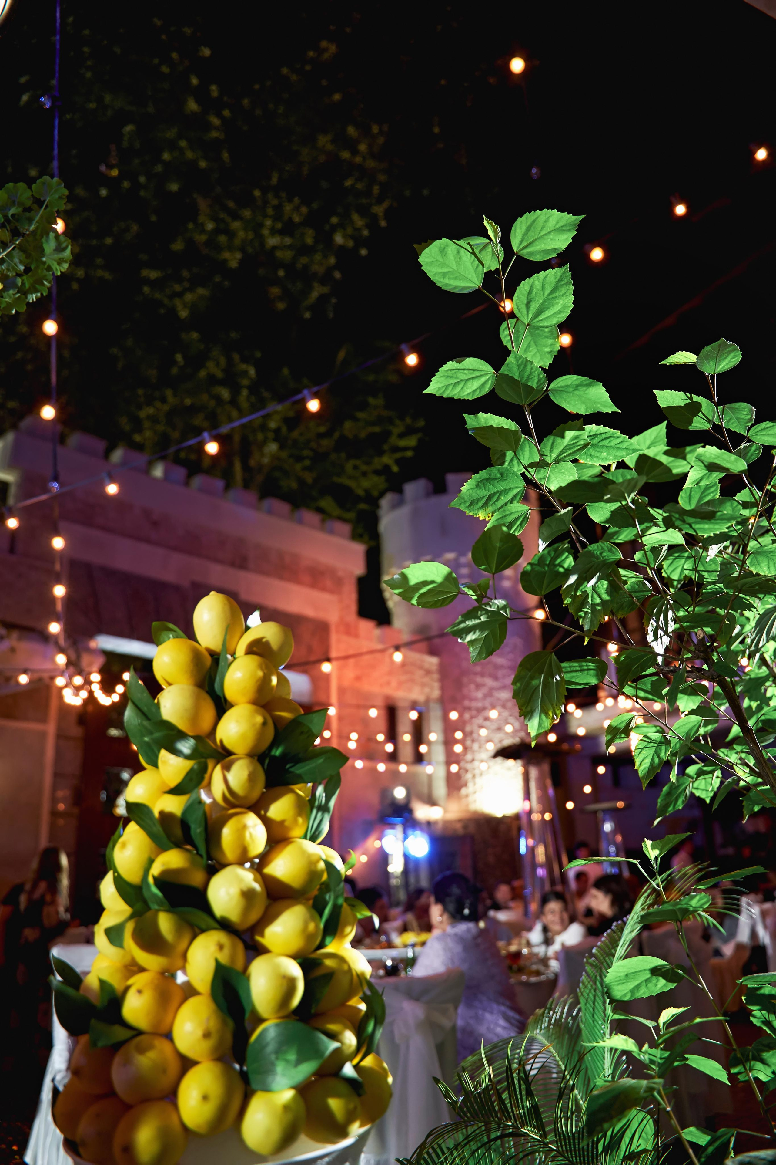 SAPG + TWINS STUDIO. ТВИНС СТУДИО — лучшие свадебные фотографы и видеографы в Краснодаре