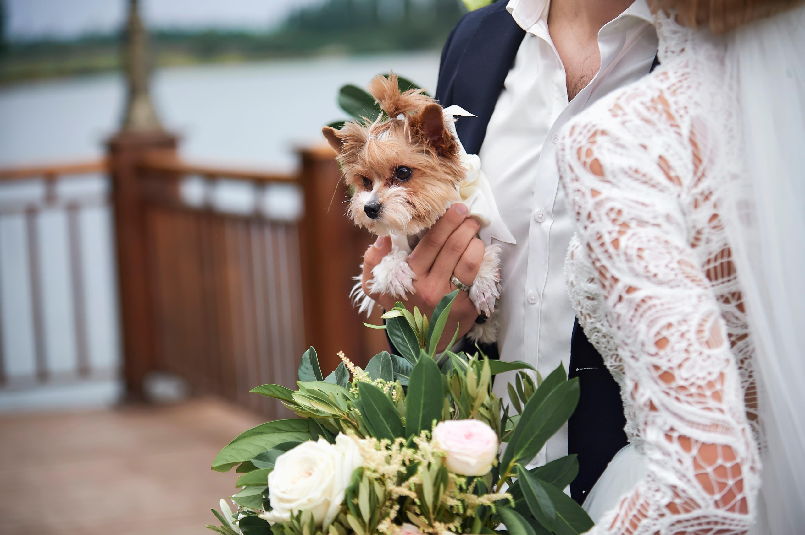 Свадьба в Усадьбе Фамилии. Фото и видео Twins Studio. ТВИНС СТУДИО — лучшие свадебные фотографы и видеографы в Краснодаре