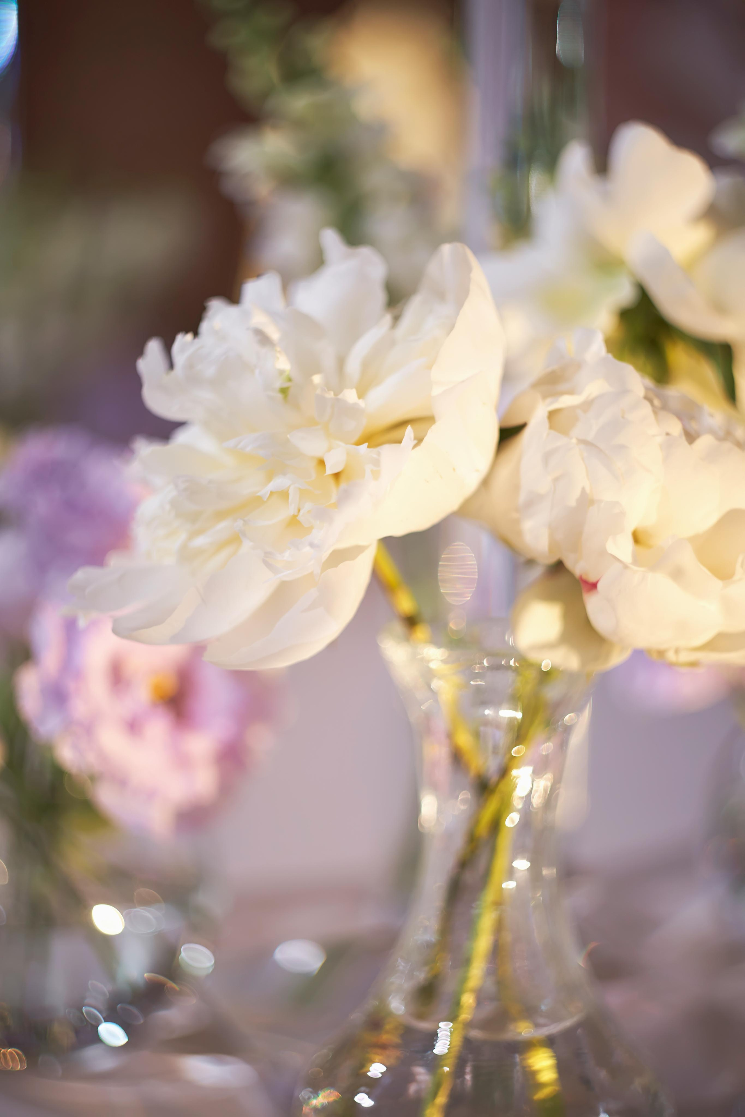 «Гол в свою жизнь» | свадьба профессионального футболиста Голубева 22. ТВИНС СТУДИО — лучшие свадебные фотографы и видеографы в Краснодаре