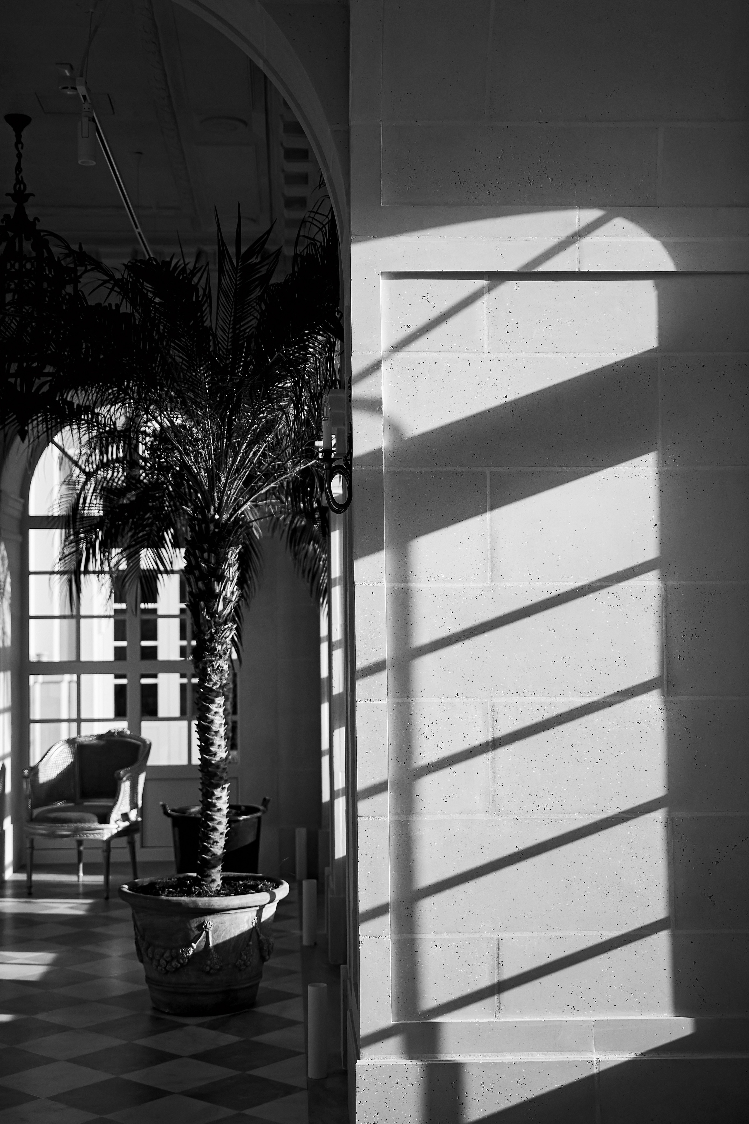 Красивая выездная регистрация в «Шато Де Талю» винодельня в Геленджике. ТВИНС СТУДИО — лучшие свадебные фотографы и видеографы в Краснодаре