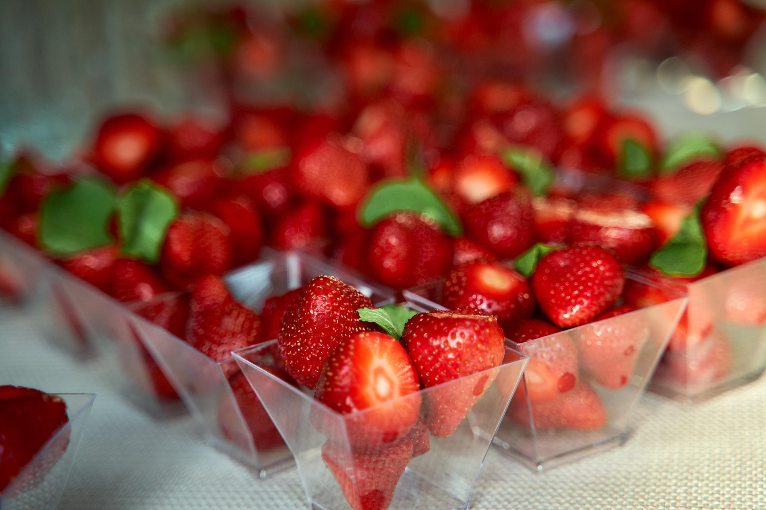 Камерная свадьба в фотостудии, парке Галицкого и Екатерининском загсе. ТВИНС СТУДИО — лучшие свадебные фотографы и видеографы в Краснодаре
